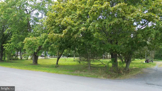 a view of a park with tree s