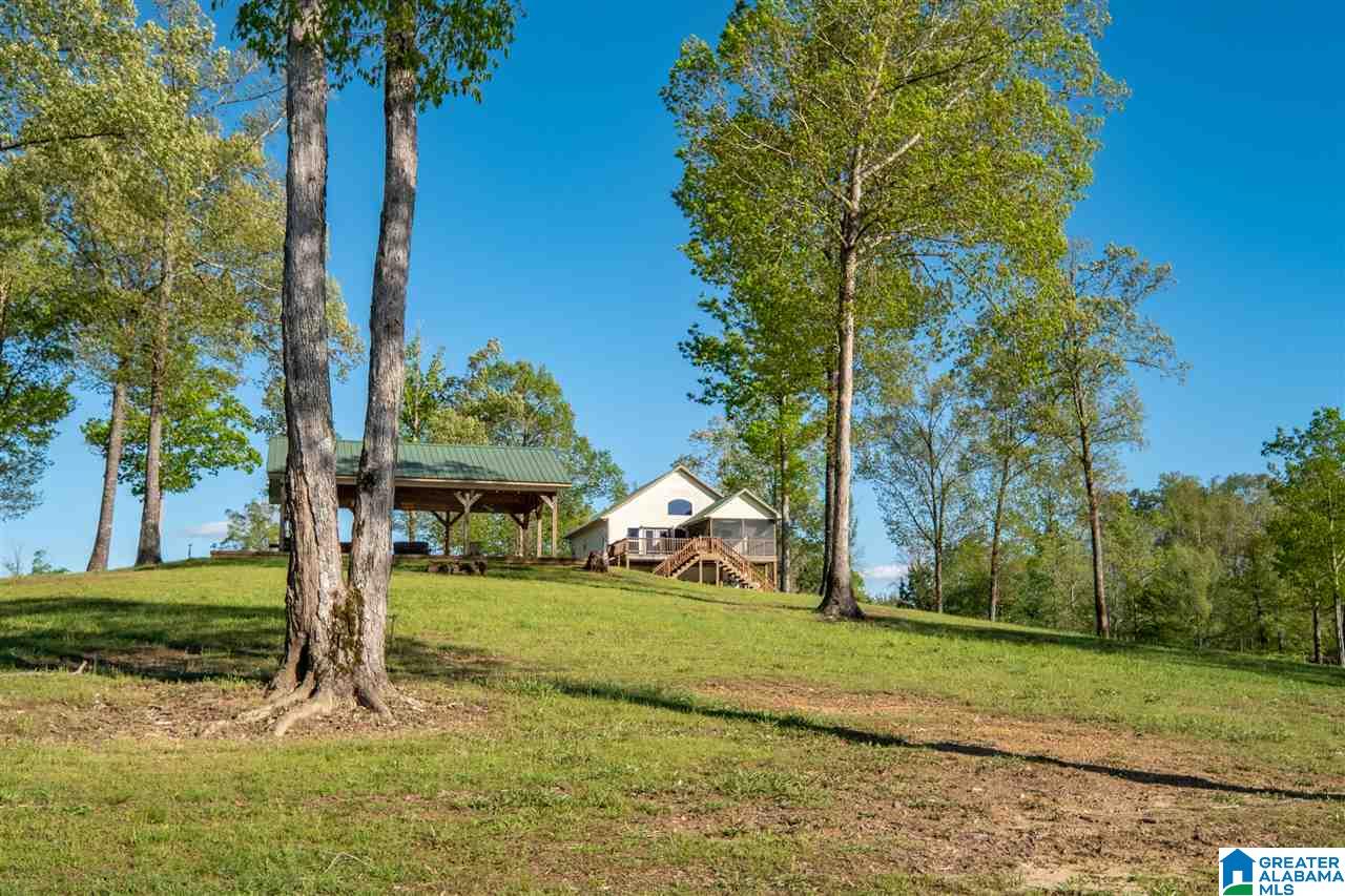 182 Rosie Road Arley, AL 35541 - Photo 29 of 35