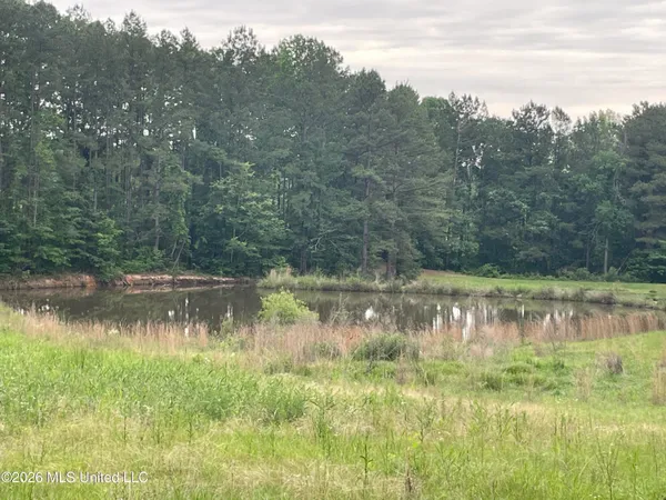 $85,800 | Niki Lane, Pelahatchie, MS 39145