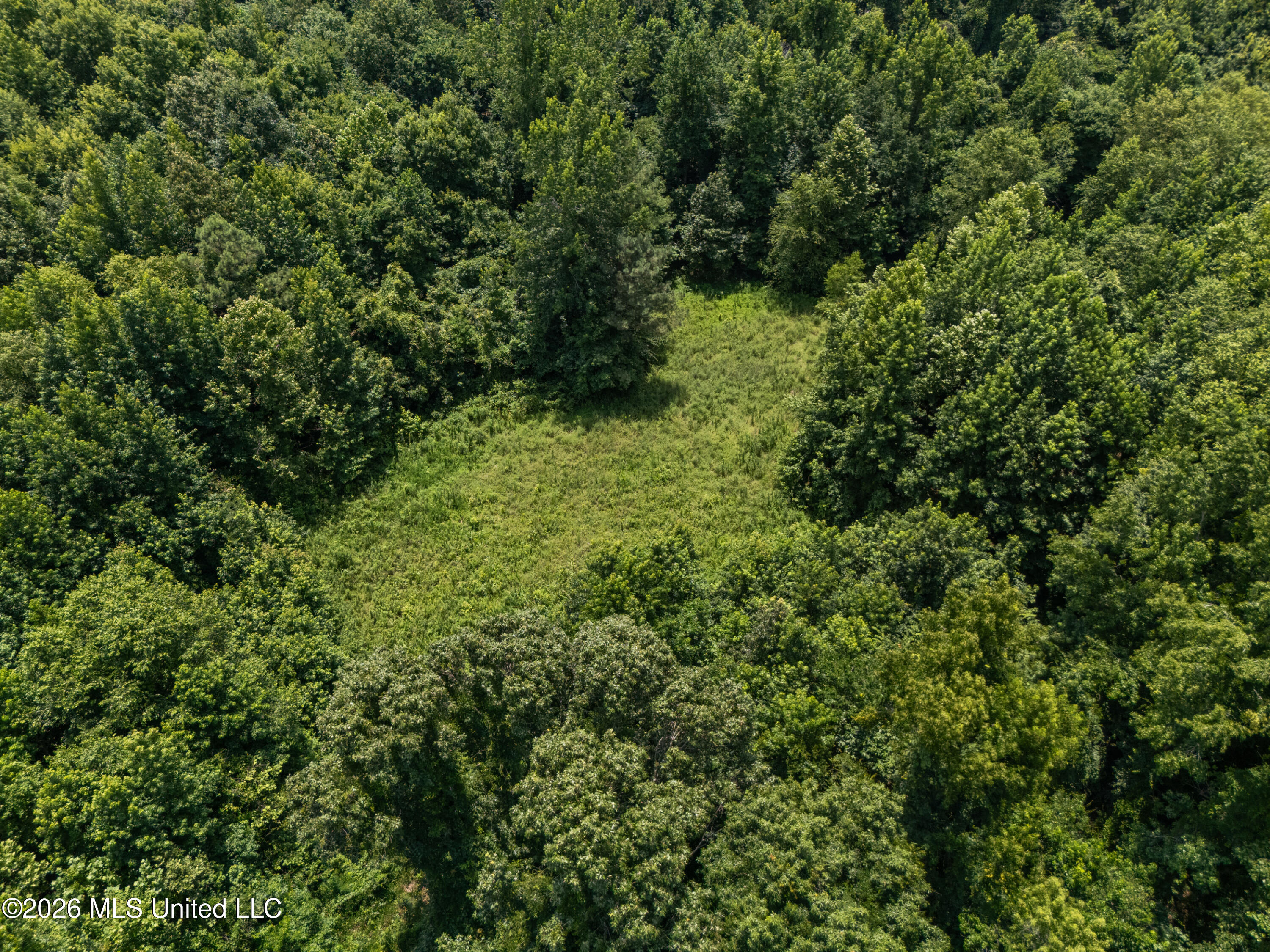 0 Freeman Drive Coldwater, MS 38618 - Photo 10 of 15 dji_20260701124544_0102_d_print