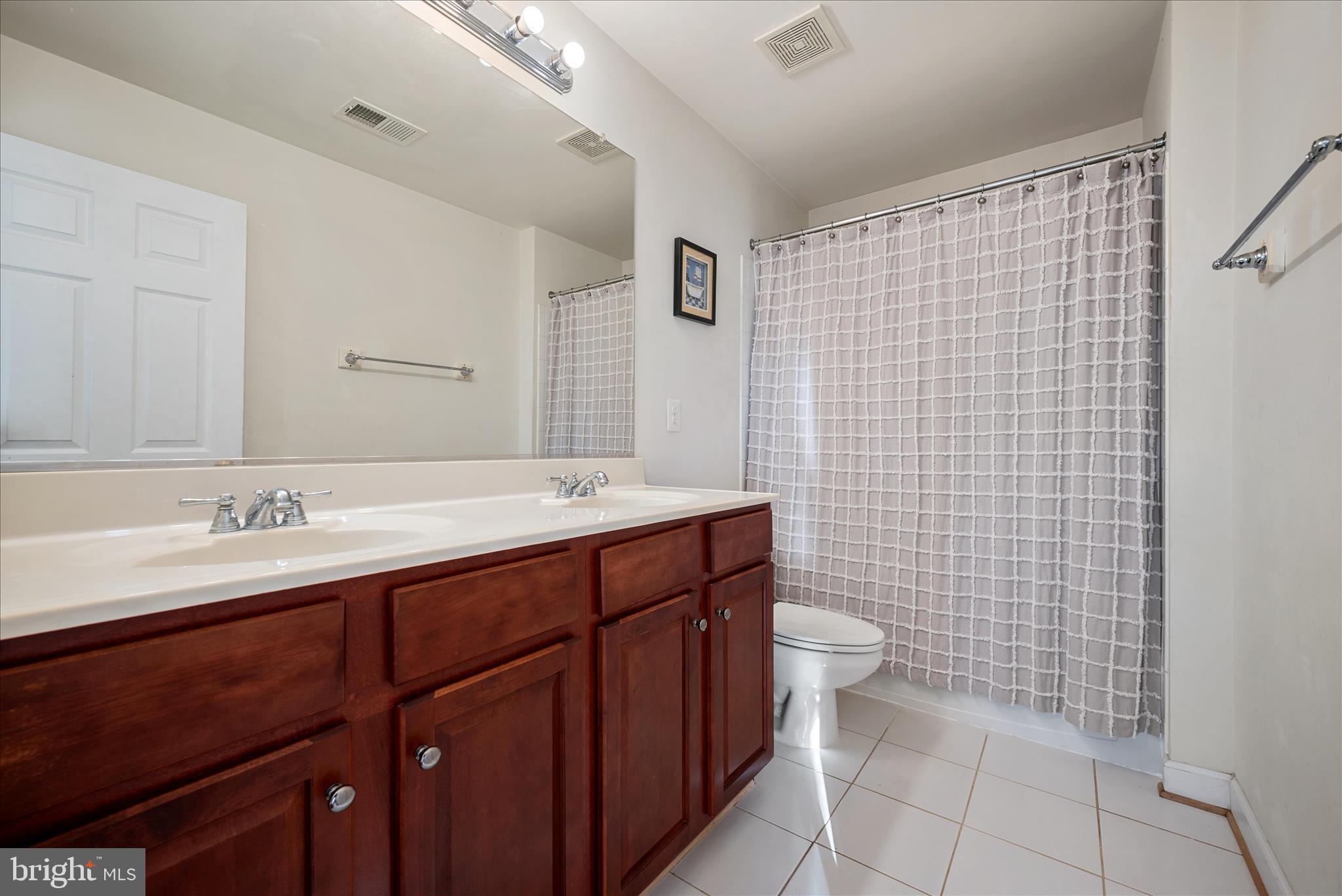 5051 Ridgeview Court Jeffersonton, VA 22724 - Photo 16 of 29 a bathroom with a sink a toilet and shower