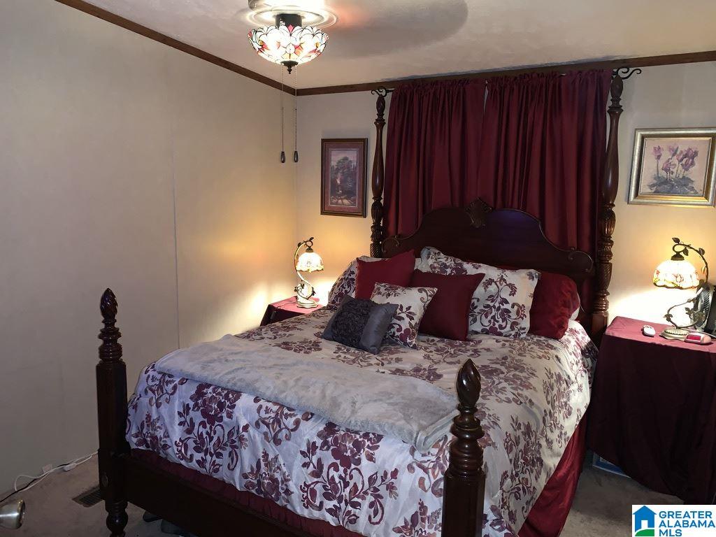 5055 Reeder Road Dora, AL 35062 - Photo 12 of 33