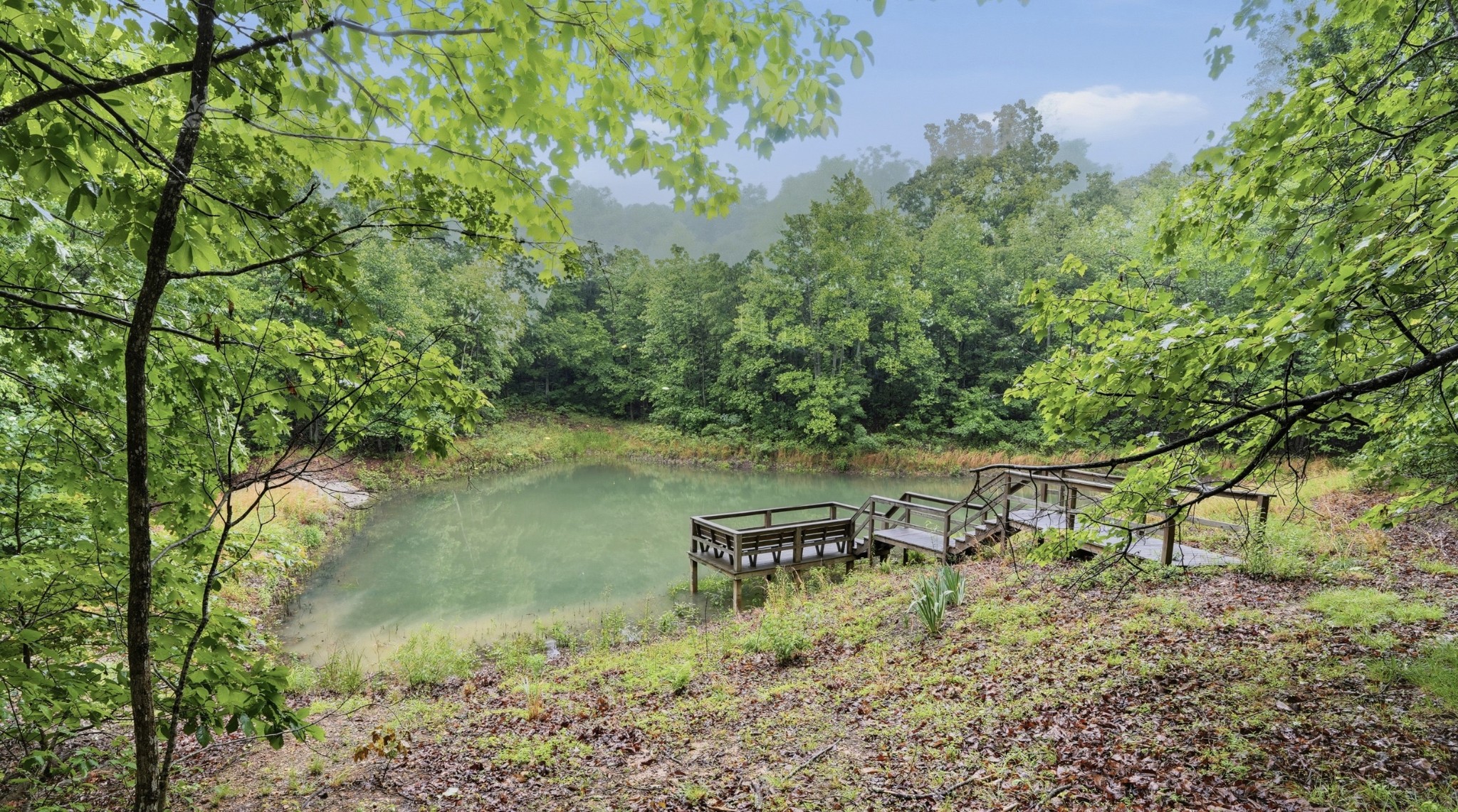 705 North Campbell Road Altamont, TN 37301 - Photo 44 of 54