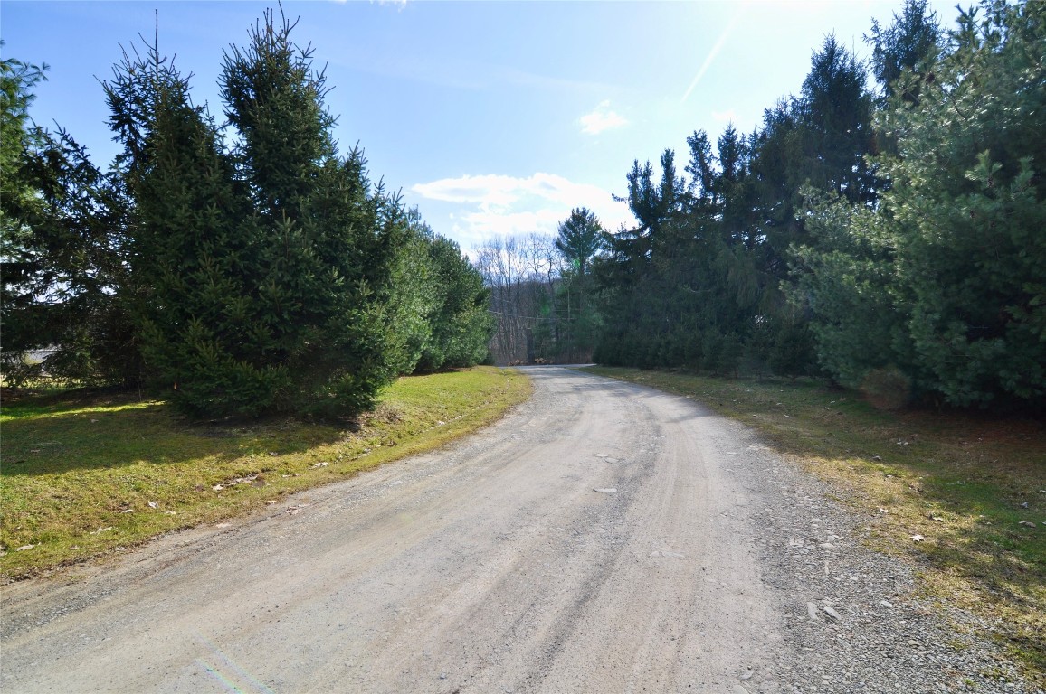 60 Twining Road Johnson City, NY 13790 - Photo 22 of 43