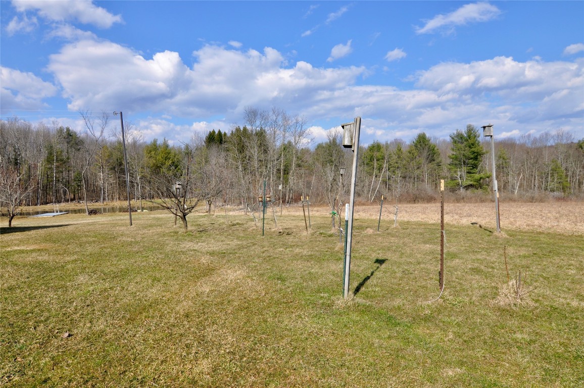 60 Twining Road Johnson City, NY 13790 - Photo 33 of 43