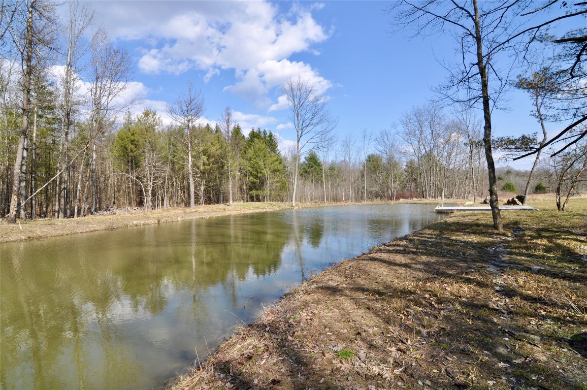 60 Twining Road Johnson City, NY 13790 - Photo 34 of 43