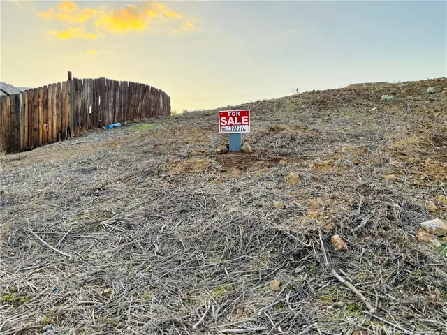 a view of a dry yard with trees