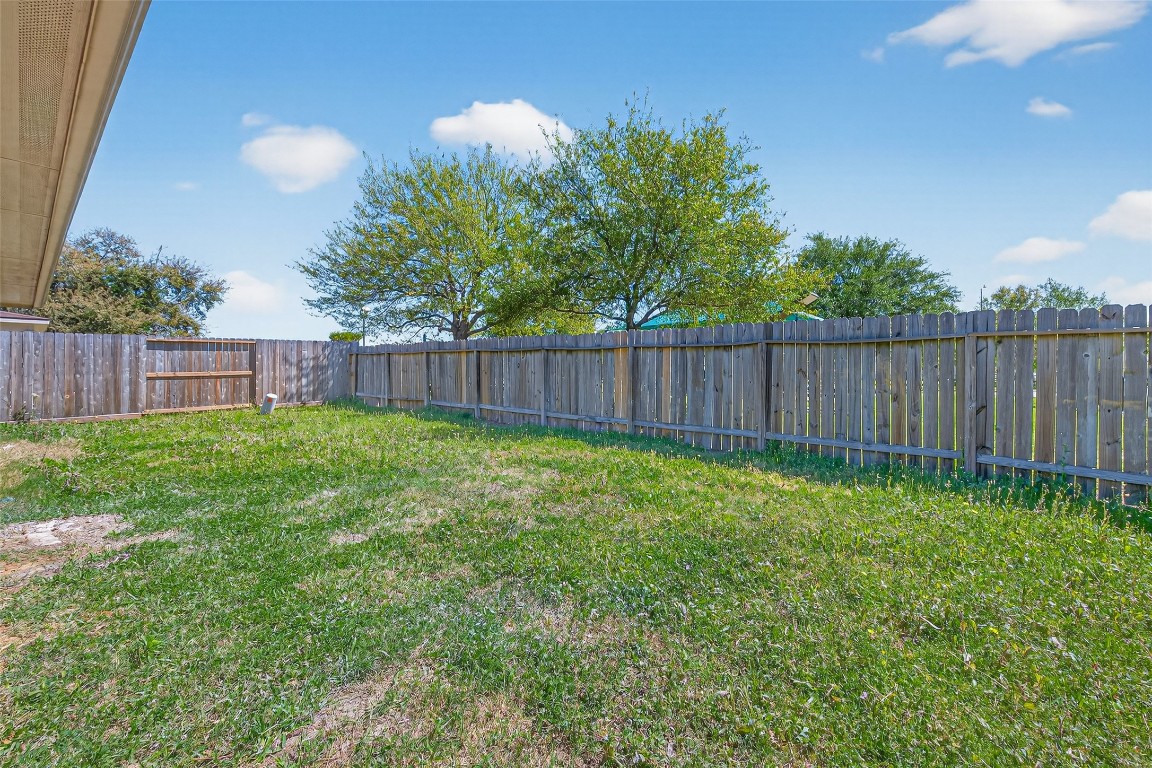 19902 Chaste Tree Lane Humble, TX 77338 - Photo 43 of 43 a view of a backyard with a garden