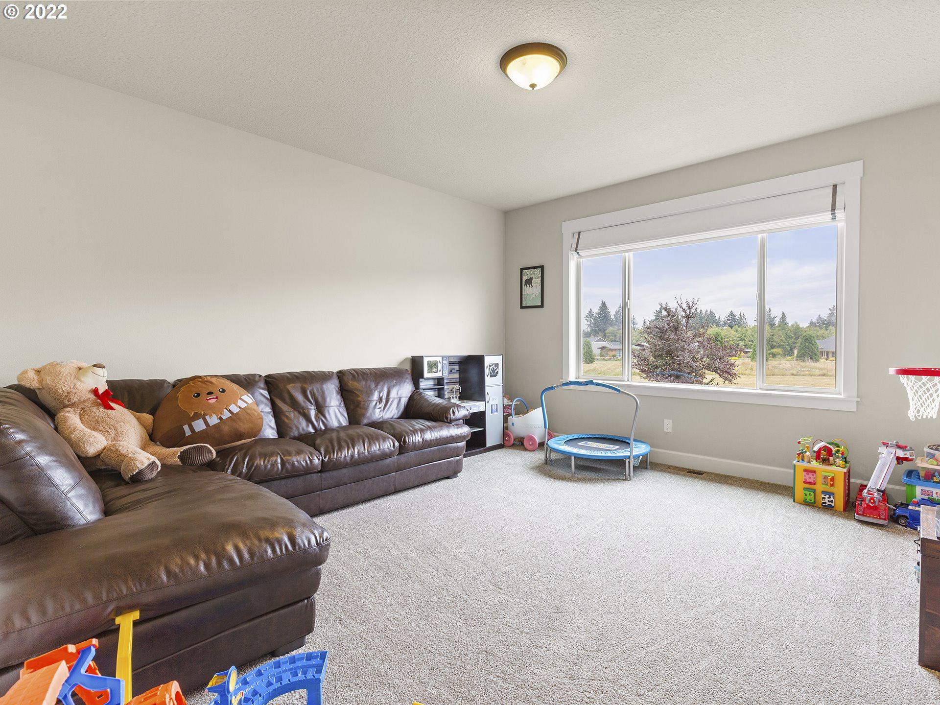 4820 Northwest 209th Street Ridgefield, WA 98642 - Photo 23 of 28 a living room with furniture and a large window