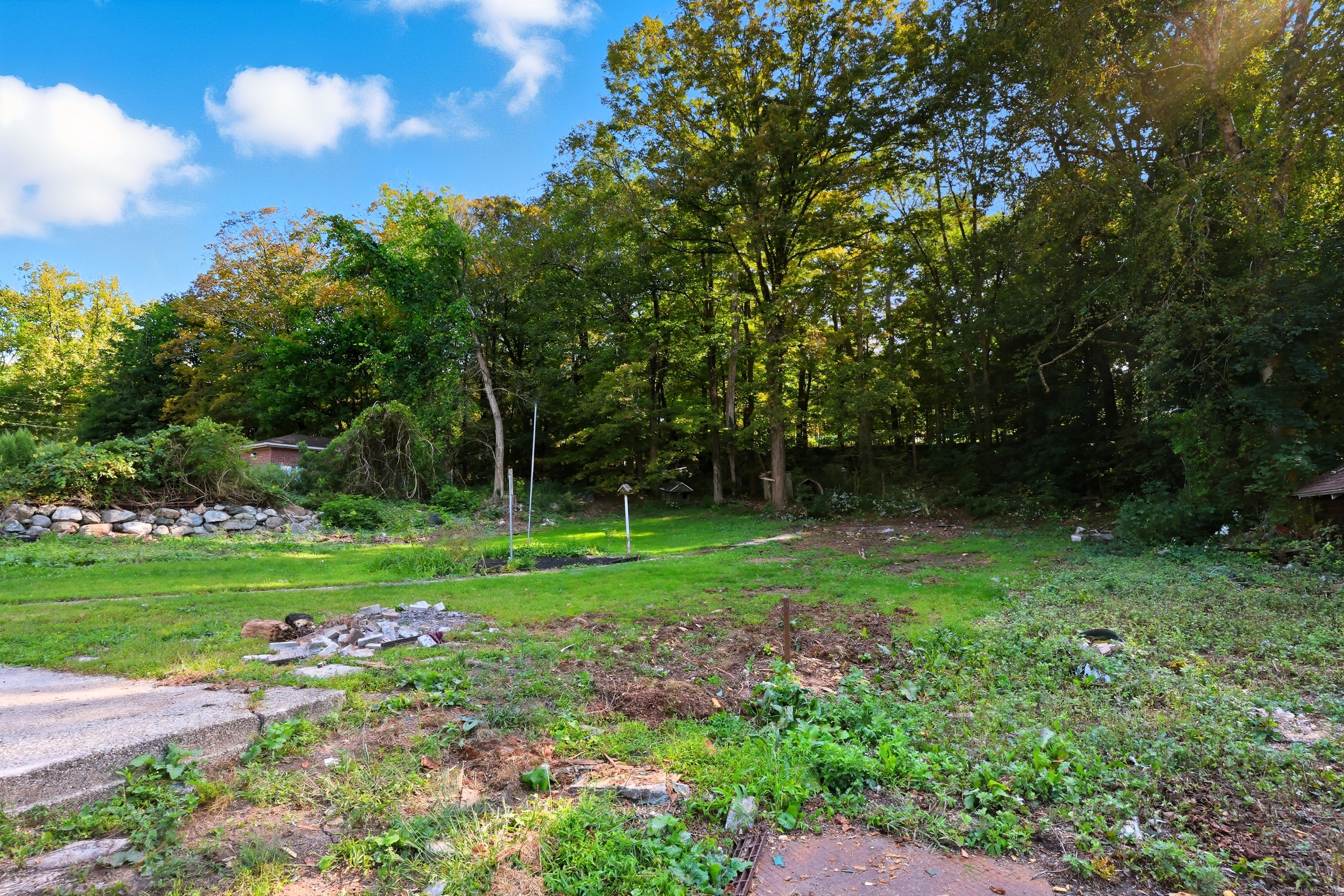 785 Main Street Plymouth, CT 06782 - Photo 24 of 30 a view of a backyard with large trees