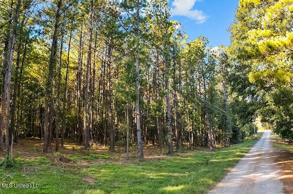 Cybur Hills Road Carriere, MS 39426 - Photo 1 of 7 land