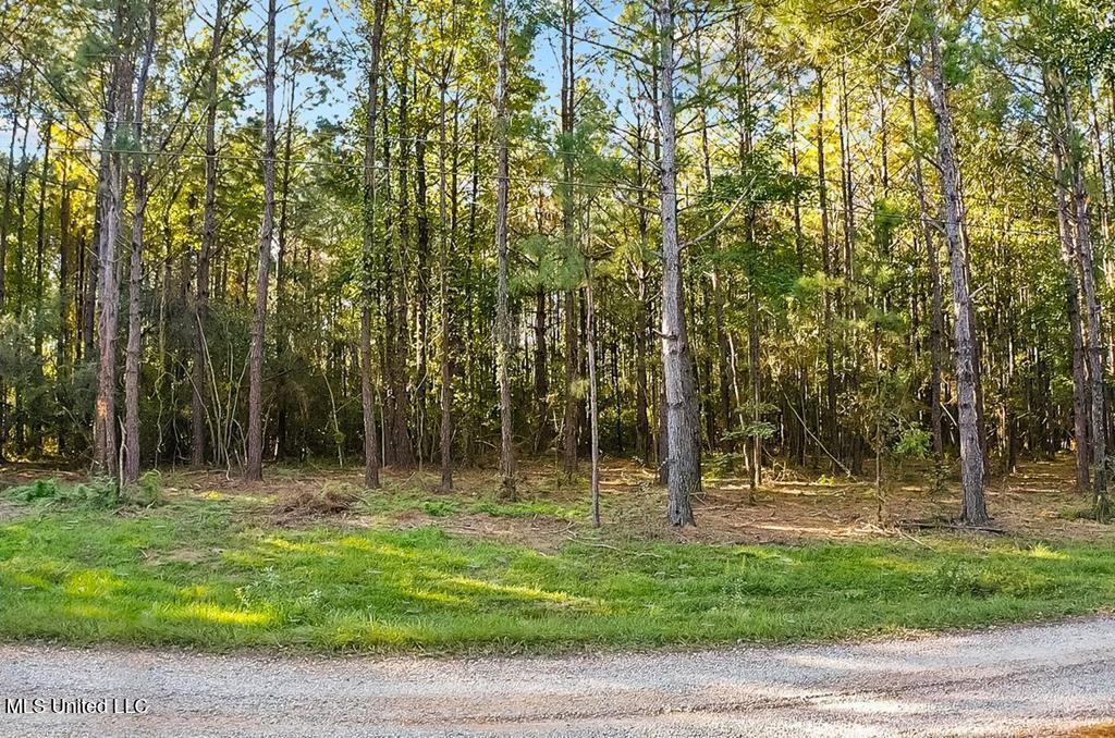 Cybur Hills Road Carriere, MS 39426 - Photo 2 of 7 181402_5