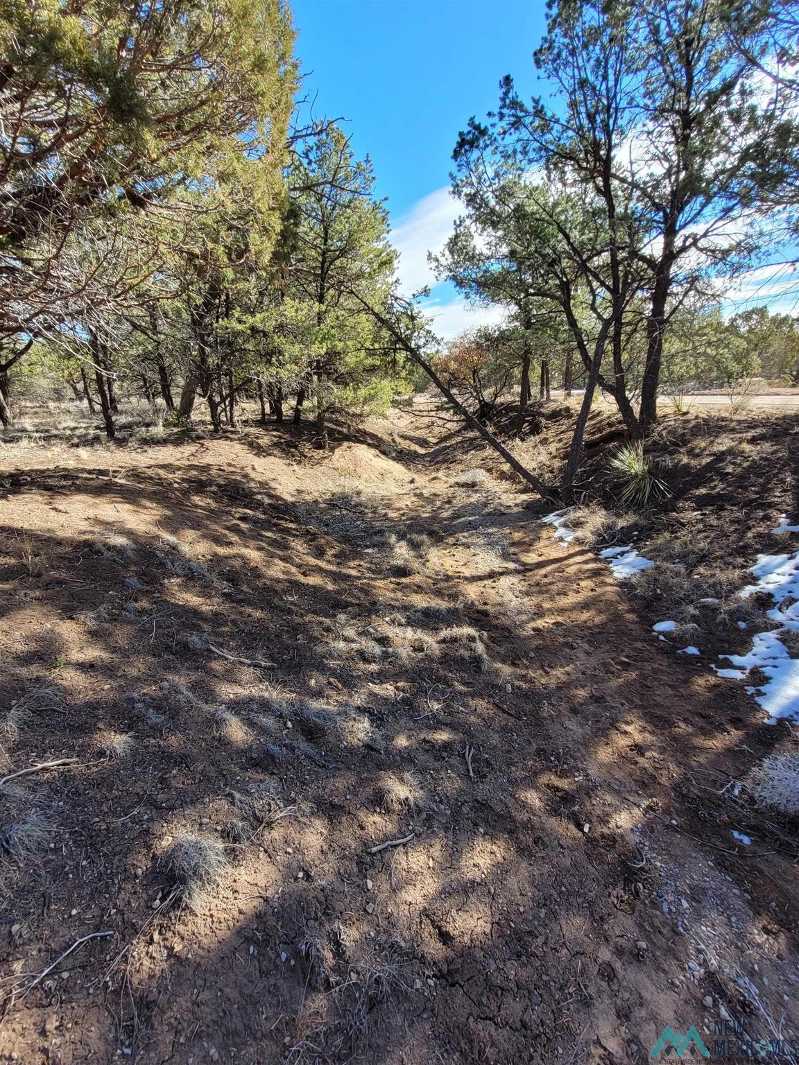 0 Homestead Trail, Unit 37 Datil, NM 87821 - Photo 11 of 20 Gallery Image 11
