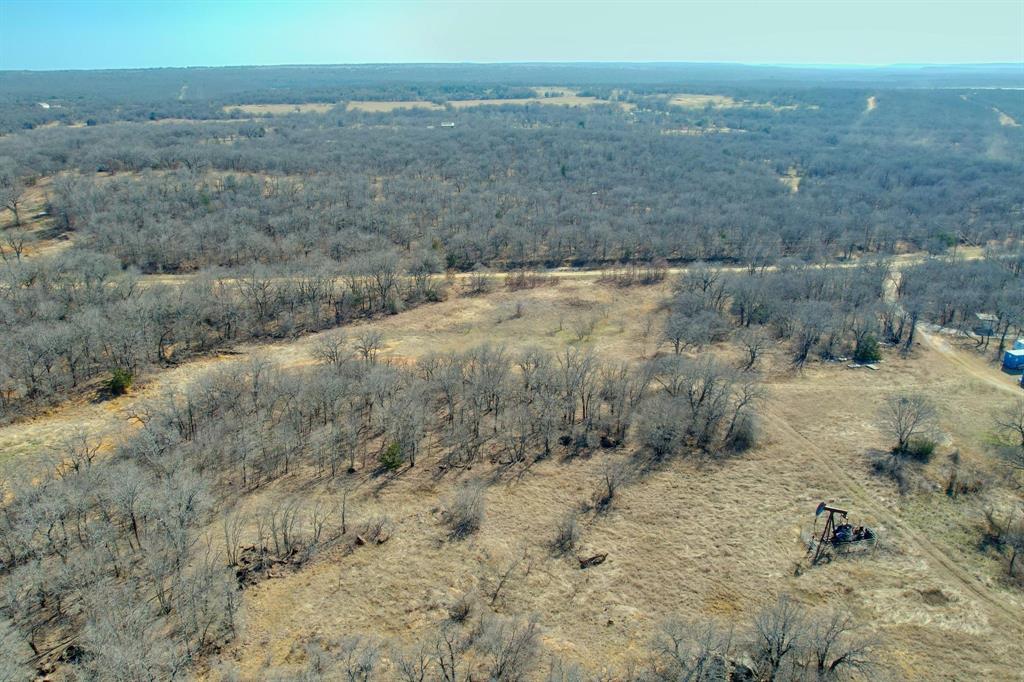 a view of a dry yard with trees