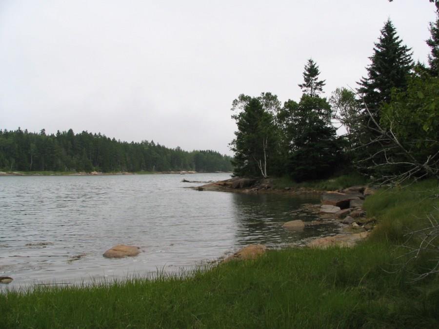 Lot 11 Harbor Road Winter Harbor, ME 04693 - Photo 1 of 4 Water frontage on Harbor