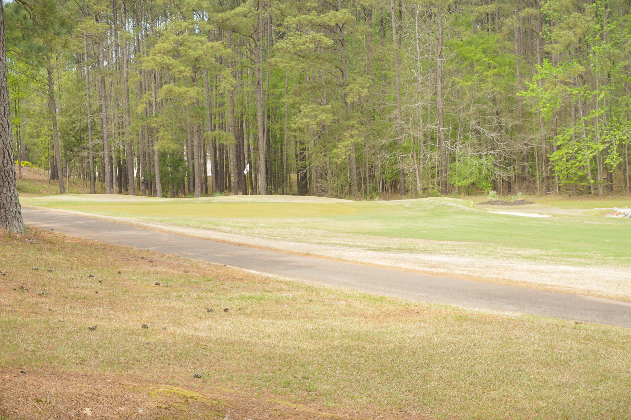 208 Bush Court McCormick, SC 29835 - Photo 45 of 51 049 - 208 bush ct