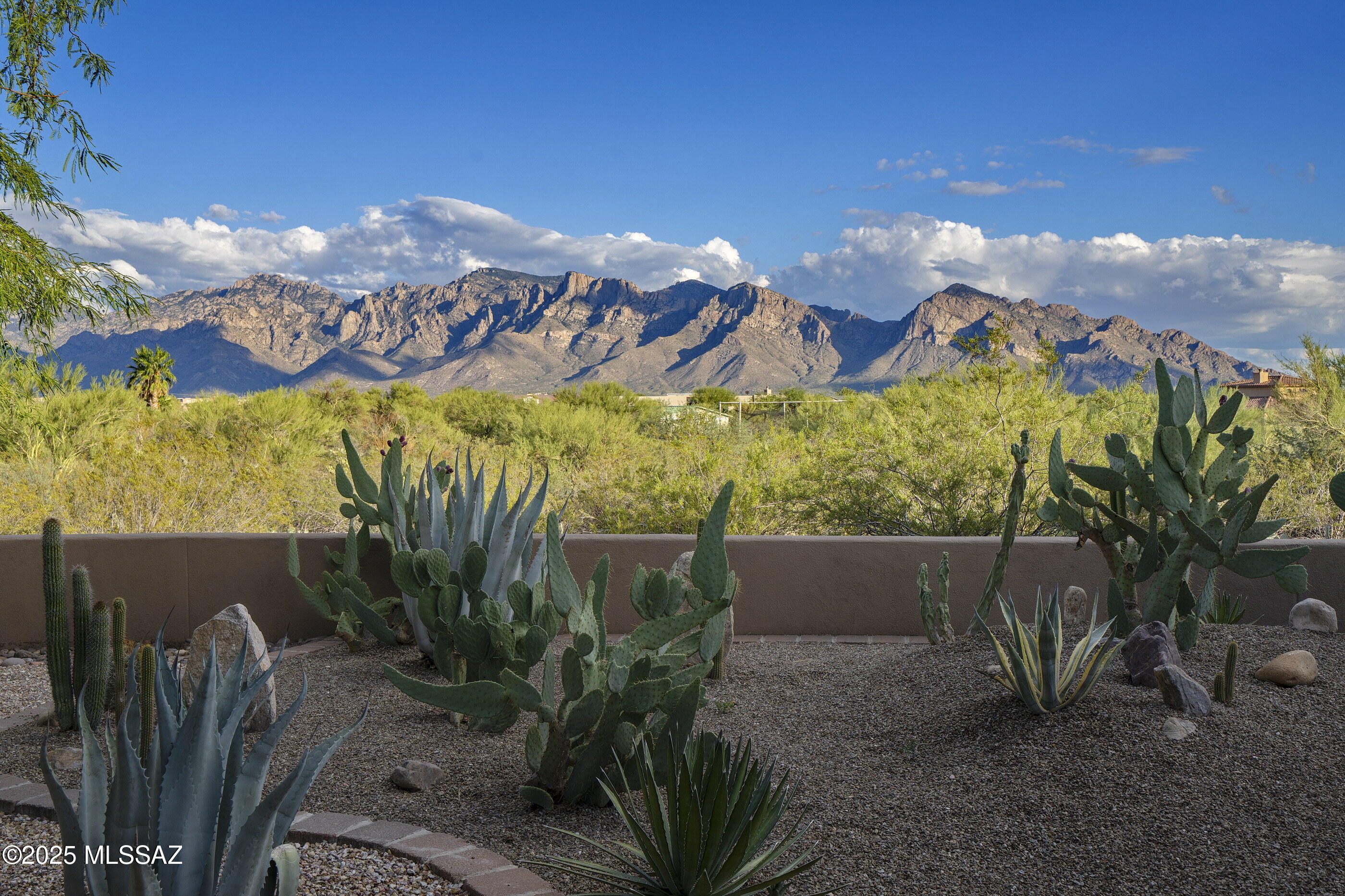 1751 West Sunkist Road Tucson, AZ 85755 - Photo 5 of 48