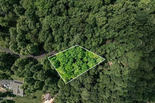 $75,000 | Lot 21 Lake Ridge Road, Unit 21, Butler, TN 37640