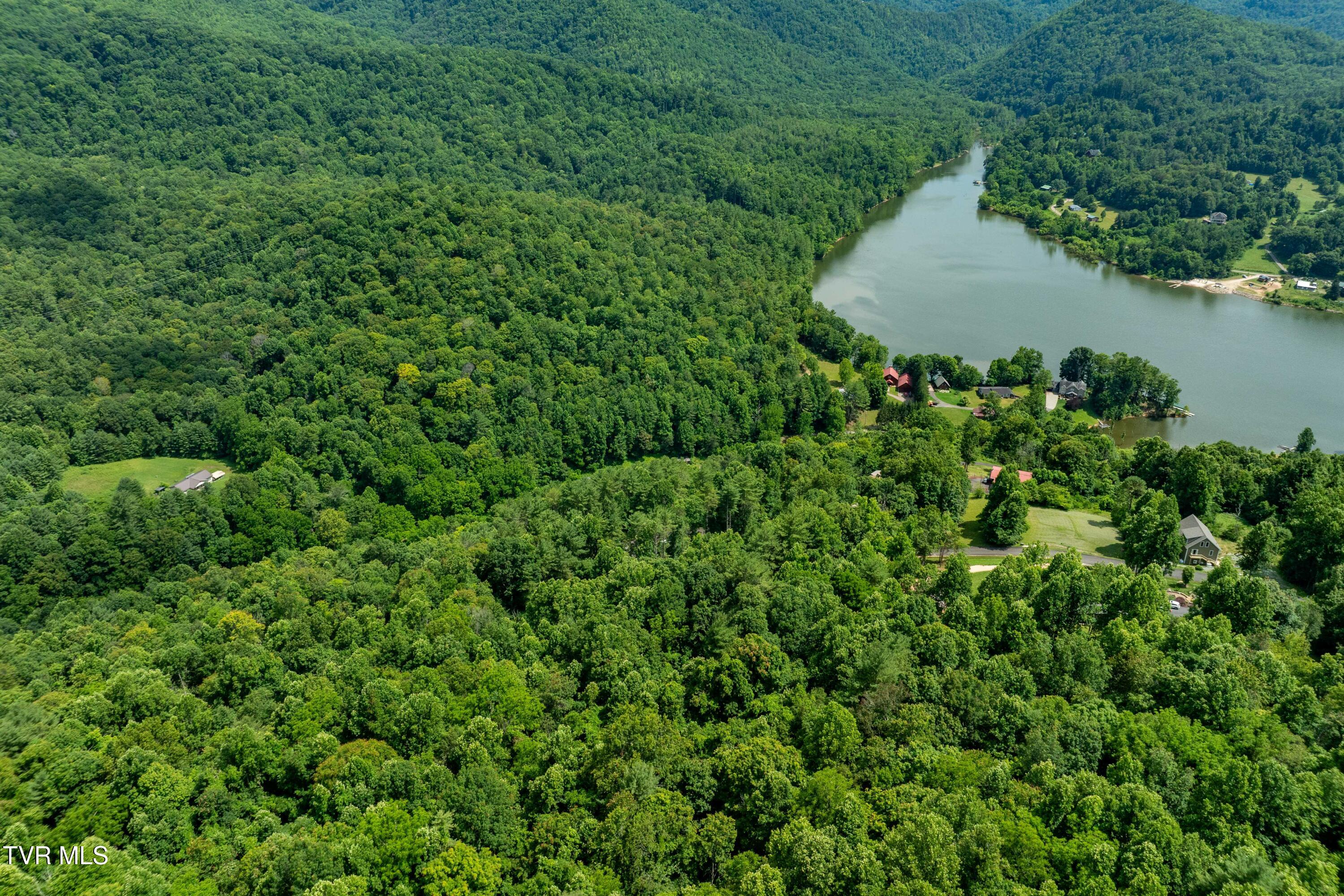 Lot 21 Lake Ridge Road, Unit 21 Butler, TN 37640 - Photo 14 of 26 Lot 21 (14 of 25)