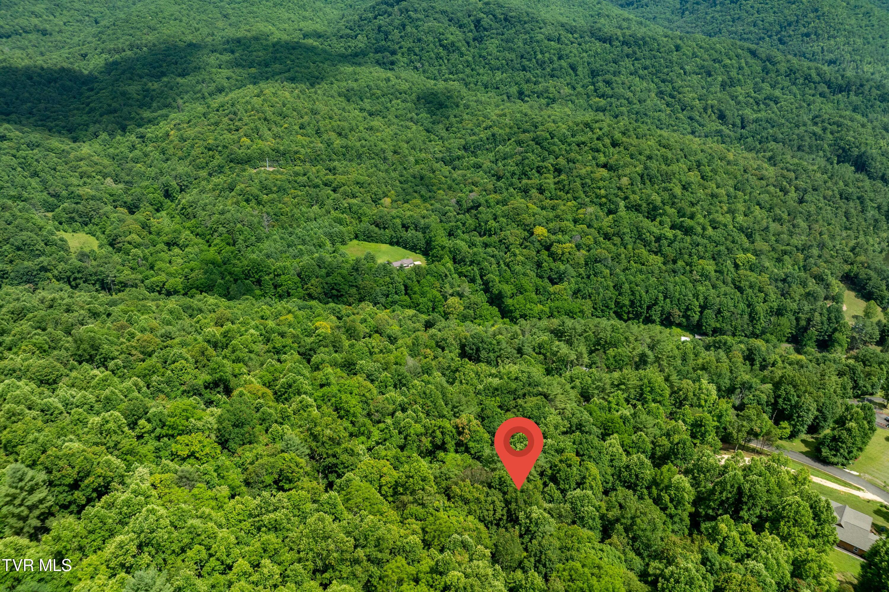 Lot 21 Lake Ridge Road, Unit 21 Butler, TN 37640 - Photo 15 of 26 Lot 21 (15 of 25)