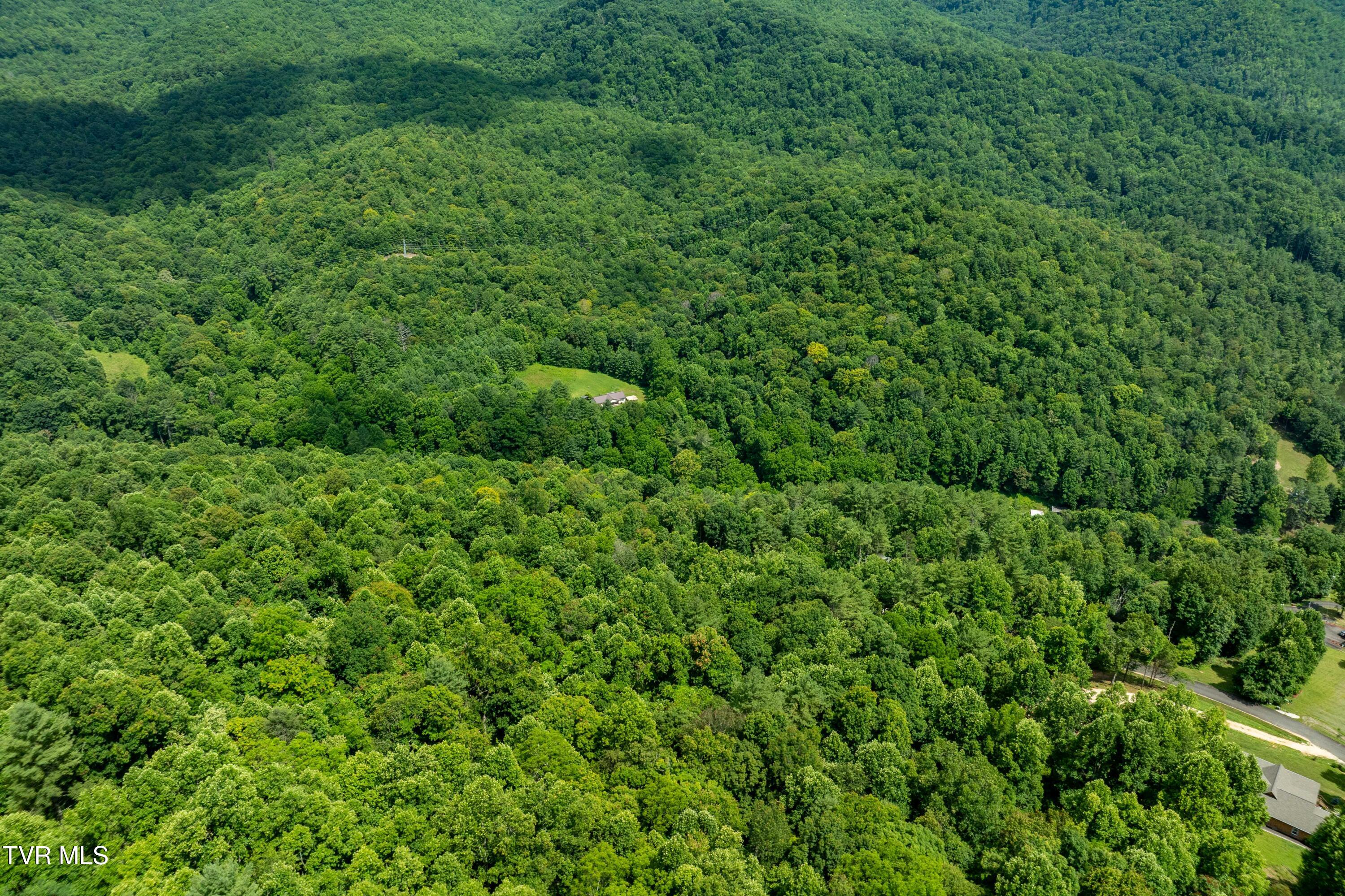 Lot 21 Lake Ridge Road, Unit 21 Butler, TN 37640 - Photo 16 of 26 Lot 21 (16 of 25)