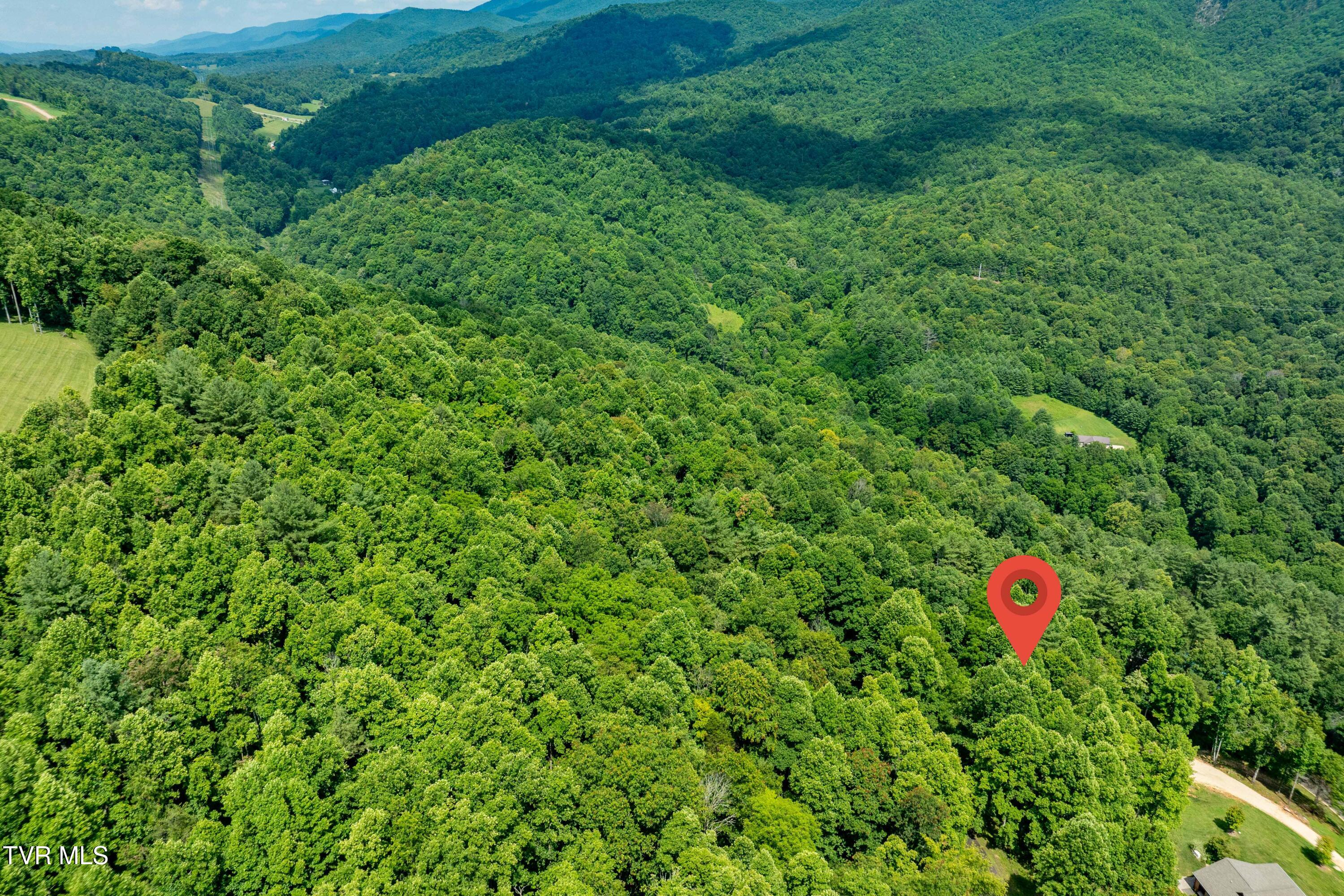 Lot 21 Lake Ridge Road, Unit 21 Butler, TN 37640 - Photo 17 of 26 Lot 21 (17 of 25)