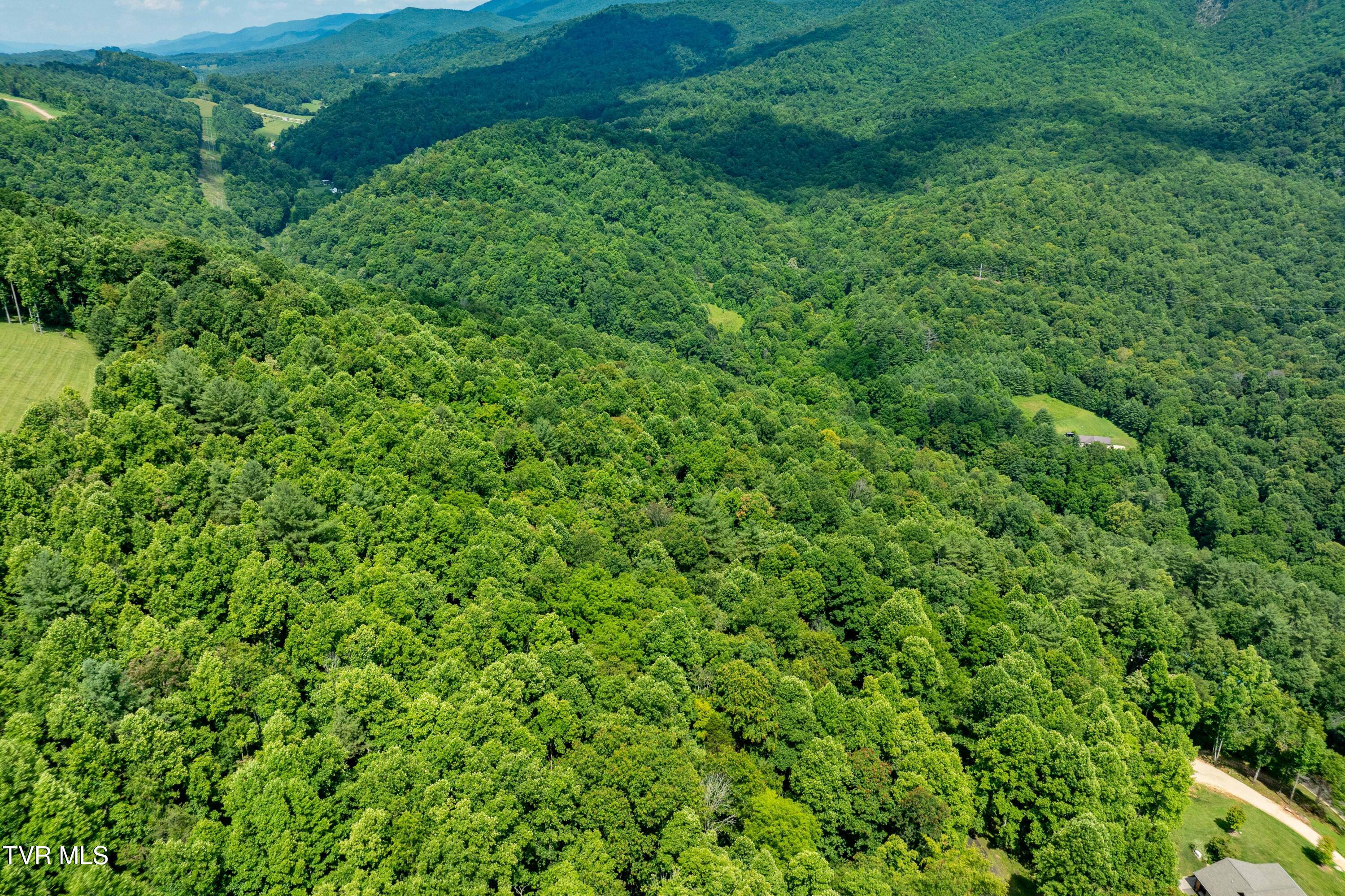 Lot 21 Lake Ridge Road, Unit 21 Butler, TN 37640 - Photo 18 of 26 Lot 21 (18 of 25)