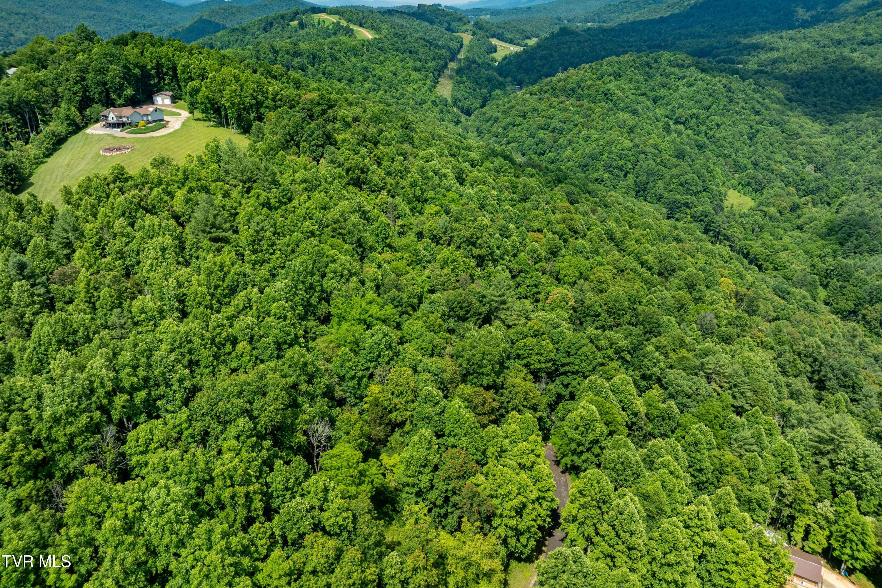 Lot 21 Lake Ridge Road, Unit 21 Butler, TN 37640 - Photo 20 of 26 Lot 21 (20 of 25)