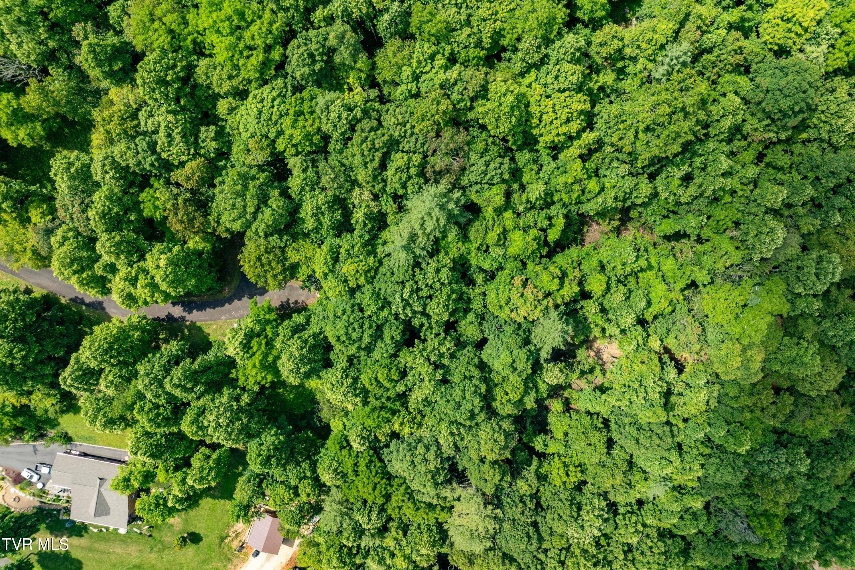 Lot 21 Lake Ridge Road, Unit 21 Butler, TN 37640 - Photo 2 of 26 Lot 21 (2 of 25)