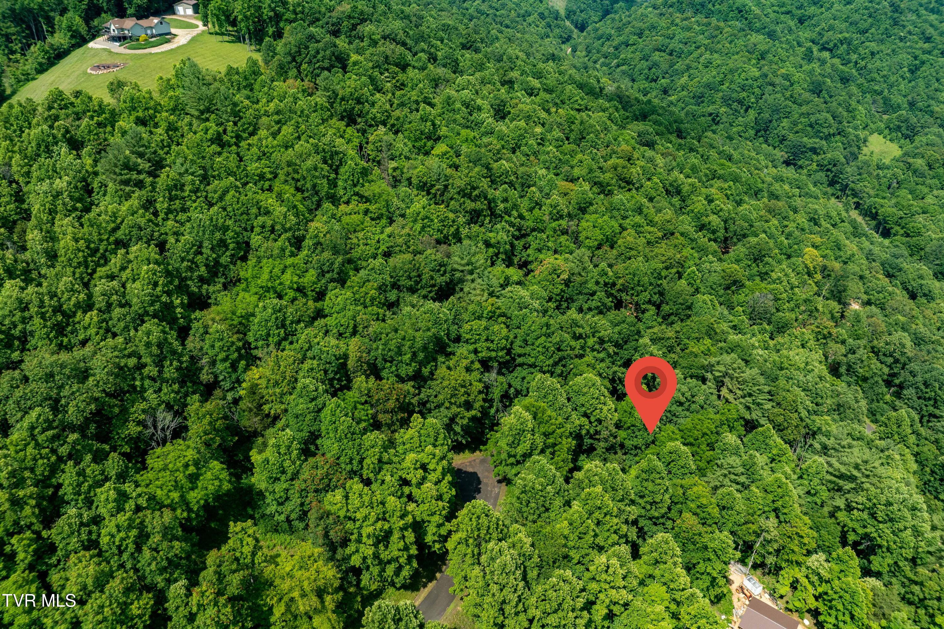 Lot 21 Lake Ridge Road, Unit 21 Butler, TN 37640 - Photo 21 of 26 Lot 21 (21 of 25)
