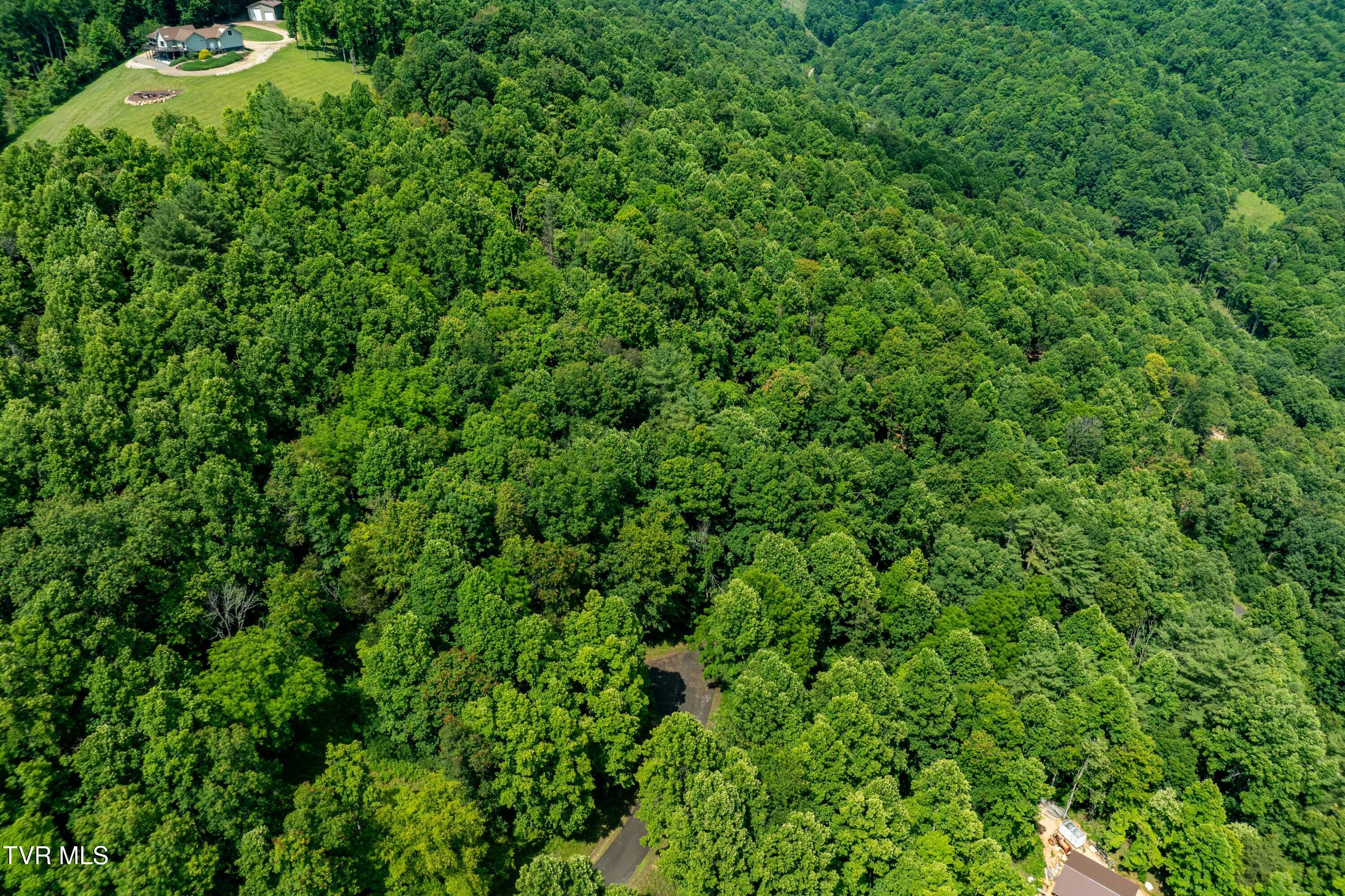 Lot 21 Lake Ridge Road, Unit 21 Butler, TN 37640 - Photo 22 of 26 Lot 21 (22 of 25)