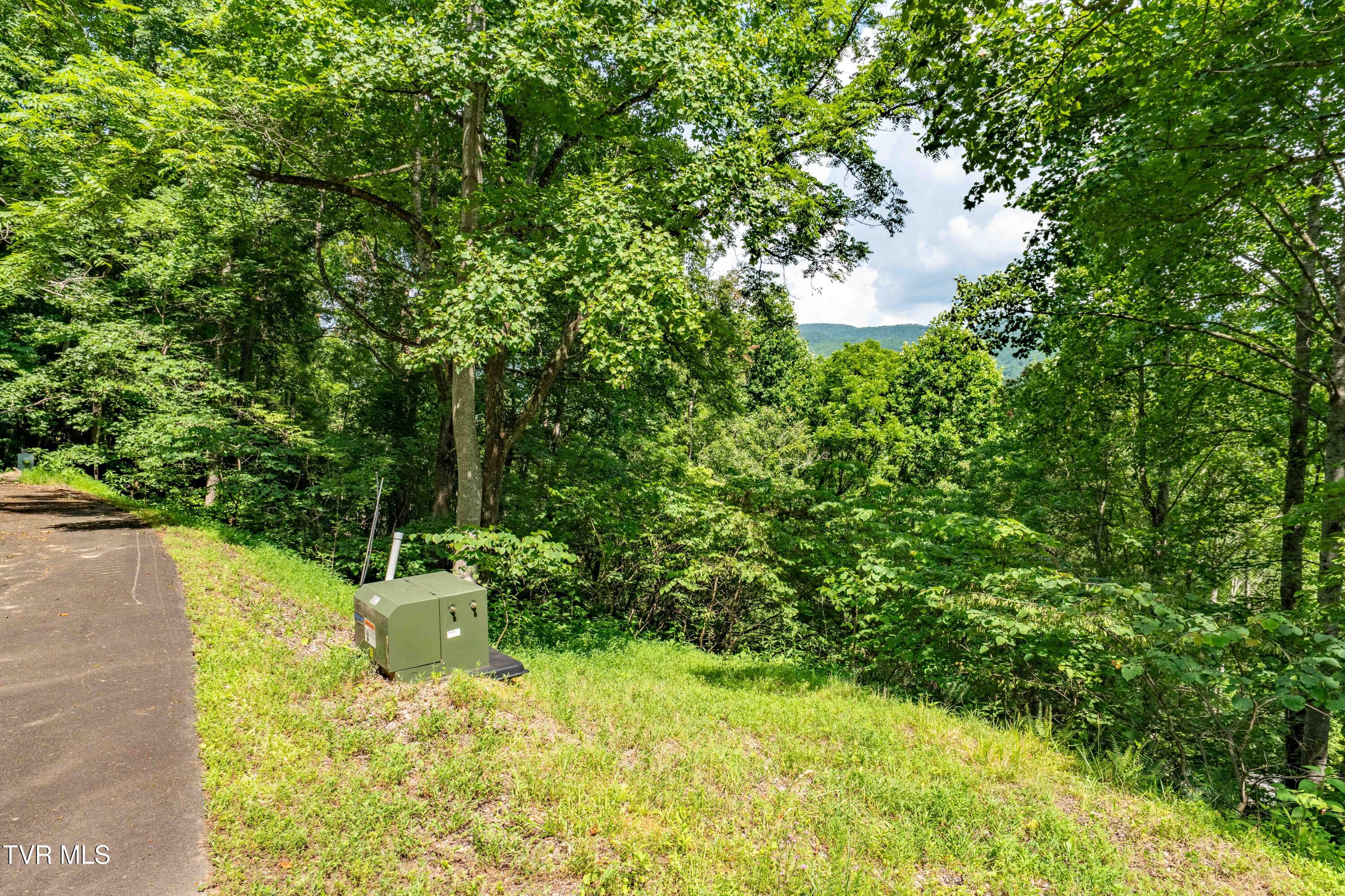 Lot 21 Lake Ridge Road, Unit 21 Butler, TN 37640 - Photo 23 of 26 Lot 21 (23 of 25)
