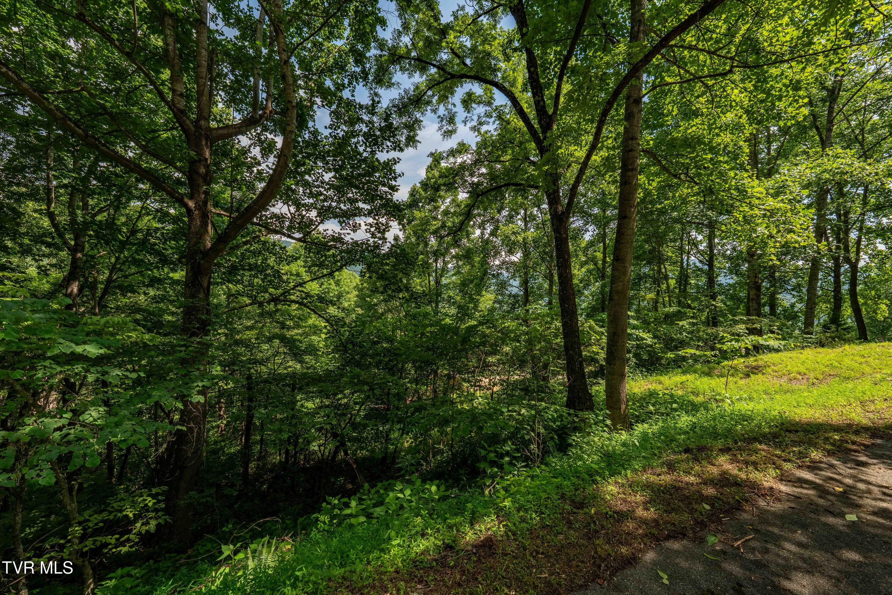 Lot 21 Lake Ridge Road, Unit 21 Butler, TN 37640 - Photo 24 of 26 Lot 21 (24 of 25)