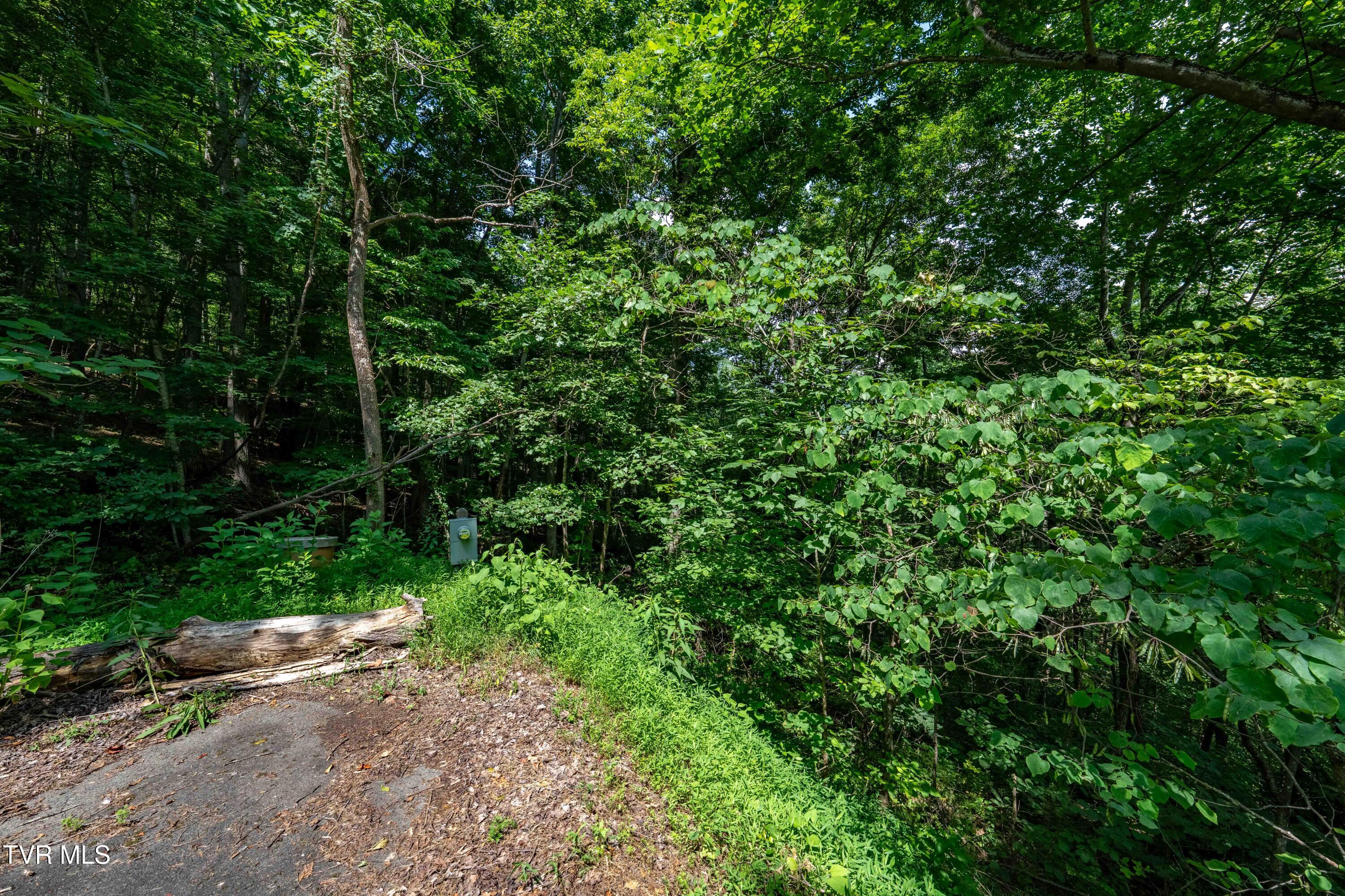 Lot 21 Lake Ridge Road, Unit 21 Butler, TN 37640 - Photo 25 of 26 Lot 21 (25 of 25)