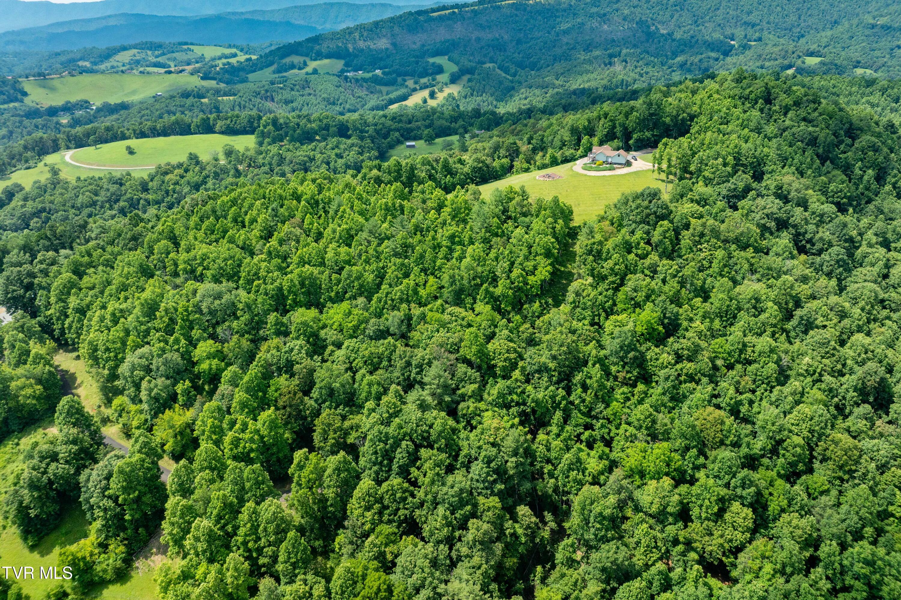 Lot 21 Lake Ridge Road, Unit 21 Butler, TN 37640 - Photo 4 of 26 Lot 21 (4 of 25)