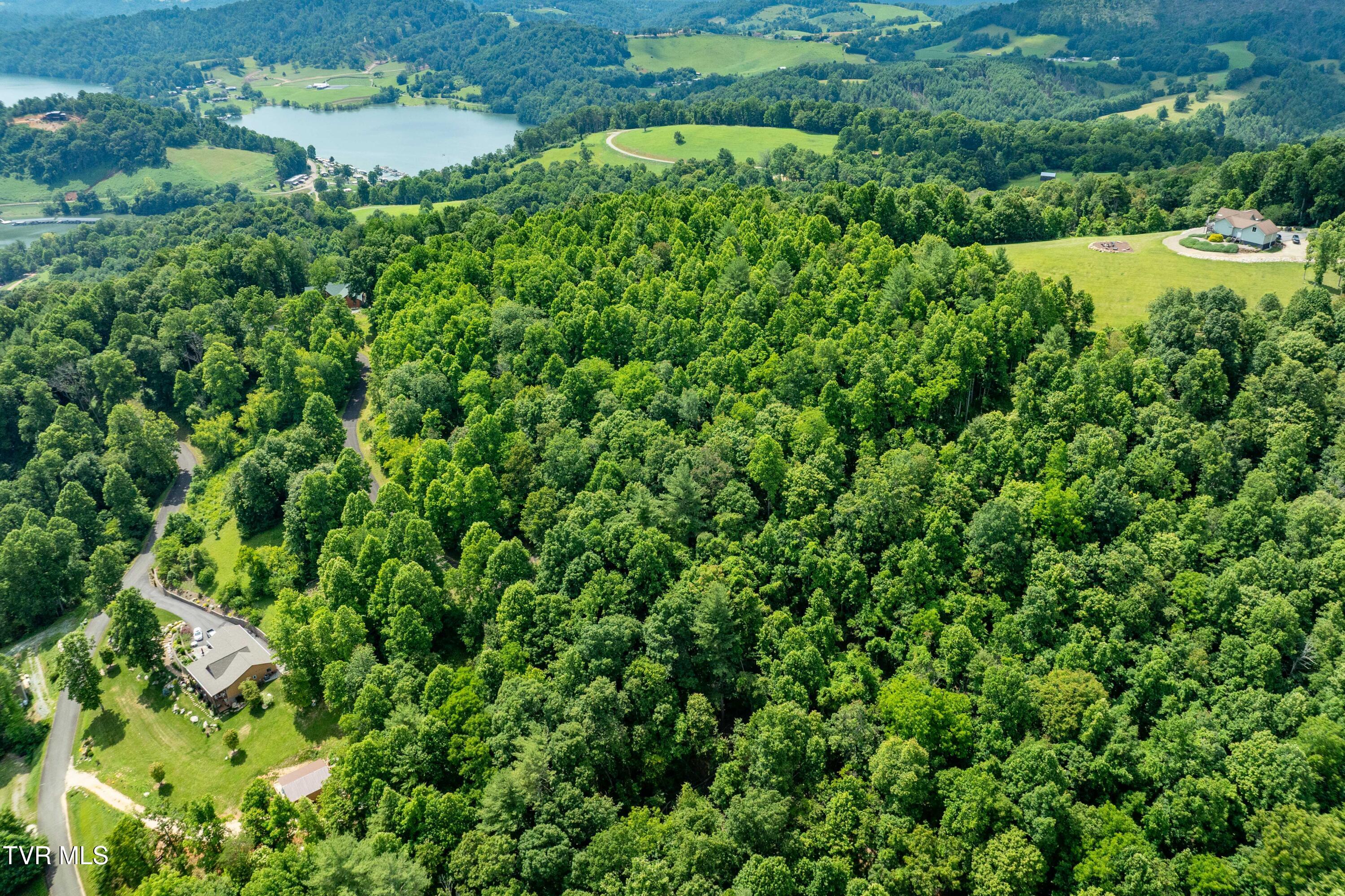 Lot 21 Lake Ridge Road, Unit 21 Butler, TN 37640 - Photo 6 of 26 Lot 21 (6 of 25)