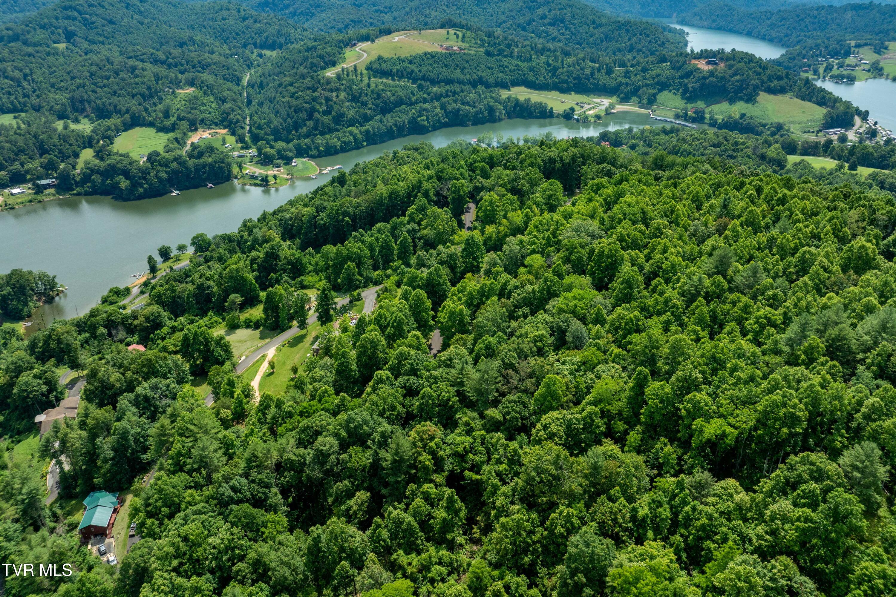 Lot 21 Lake Ridge Road, Unit 21 Butler, TN 37640 - Photo 10 of 26 Lot 21 (10 of 25)