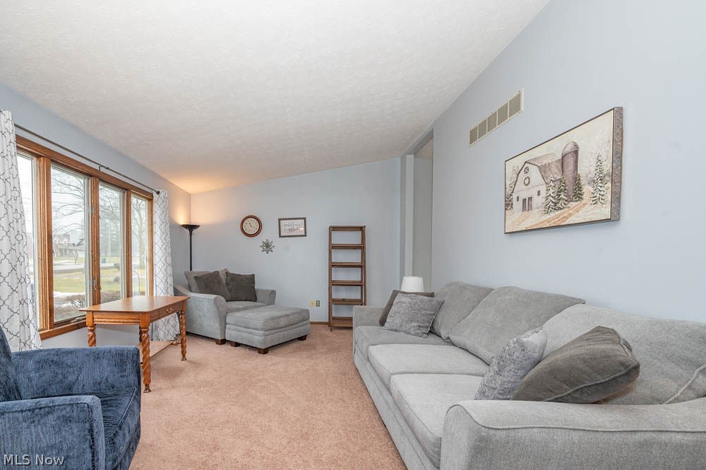 4957 East Calla Road New Middletown, OH 44442 - Photo 3 of 46 Gallery Image 3