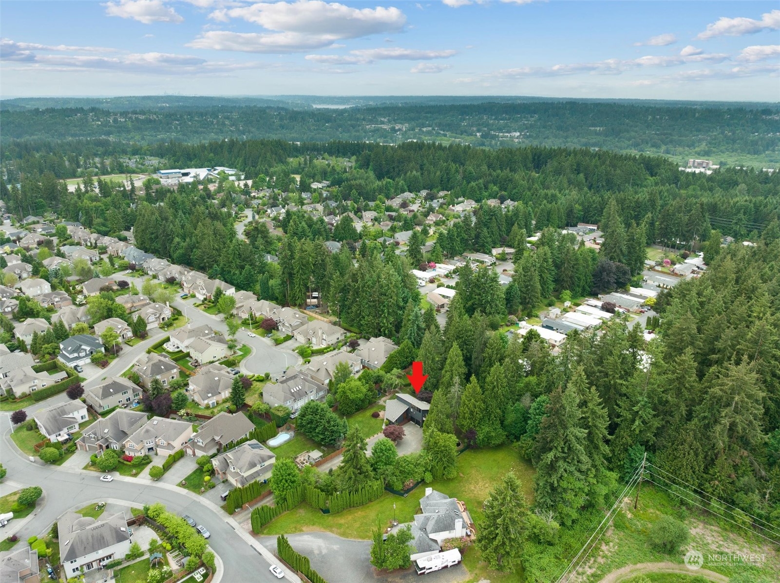 20622 37th Avenue Southeast Bothell, WA 98021 - Photo 3 of 38 a view of a garden with plants and large trees