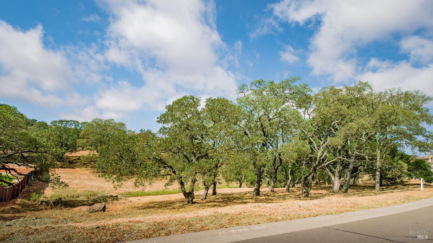 743 Bridle Ridge Court Fairfield, CA 94534 - Photo 11 of 84