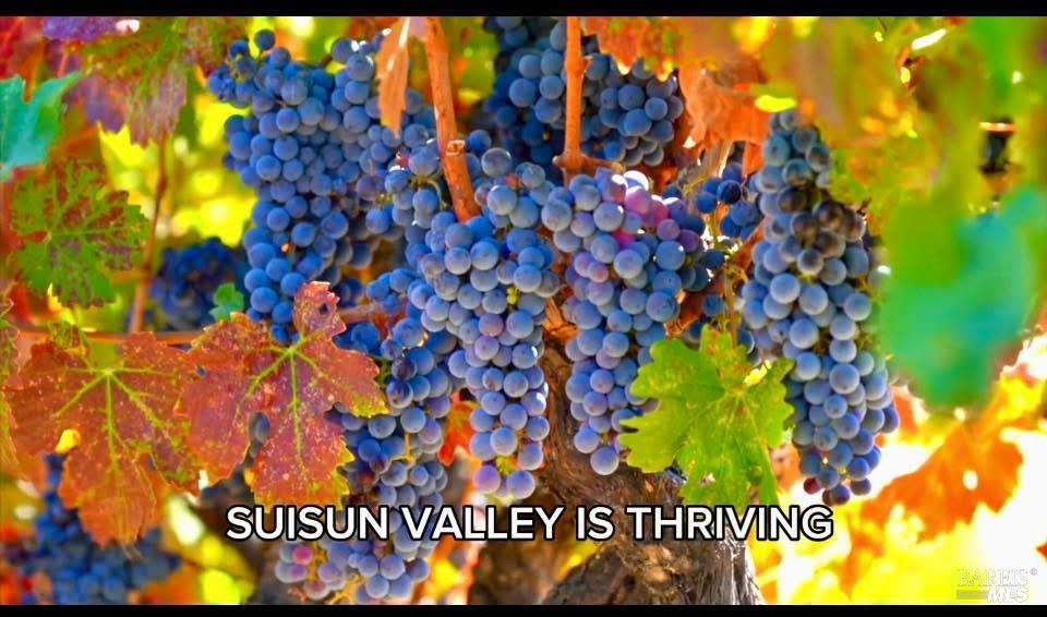 743 Bridle Ridge Court Fairfield, CA 94534 - Photo 14 of 82