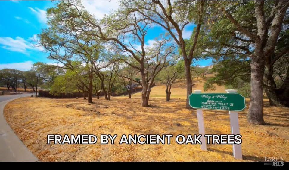 743 Bridle Ridge Court Fairfield, CA 94534 - Photo 15 of 82