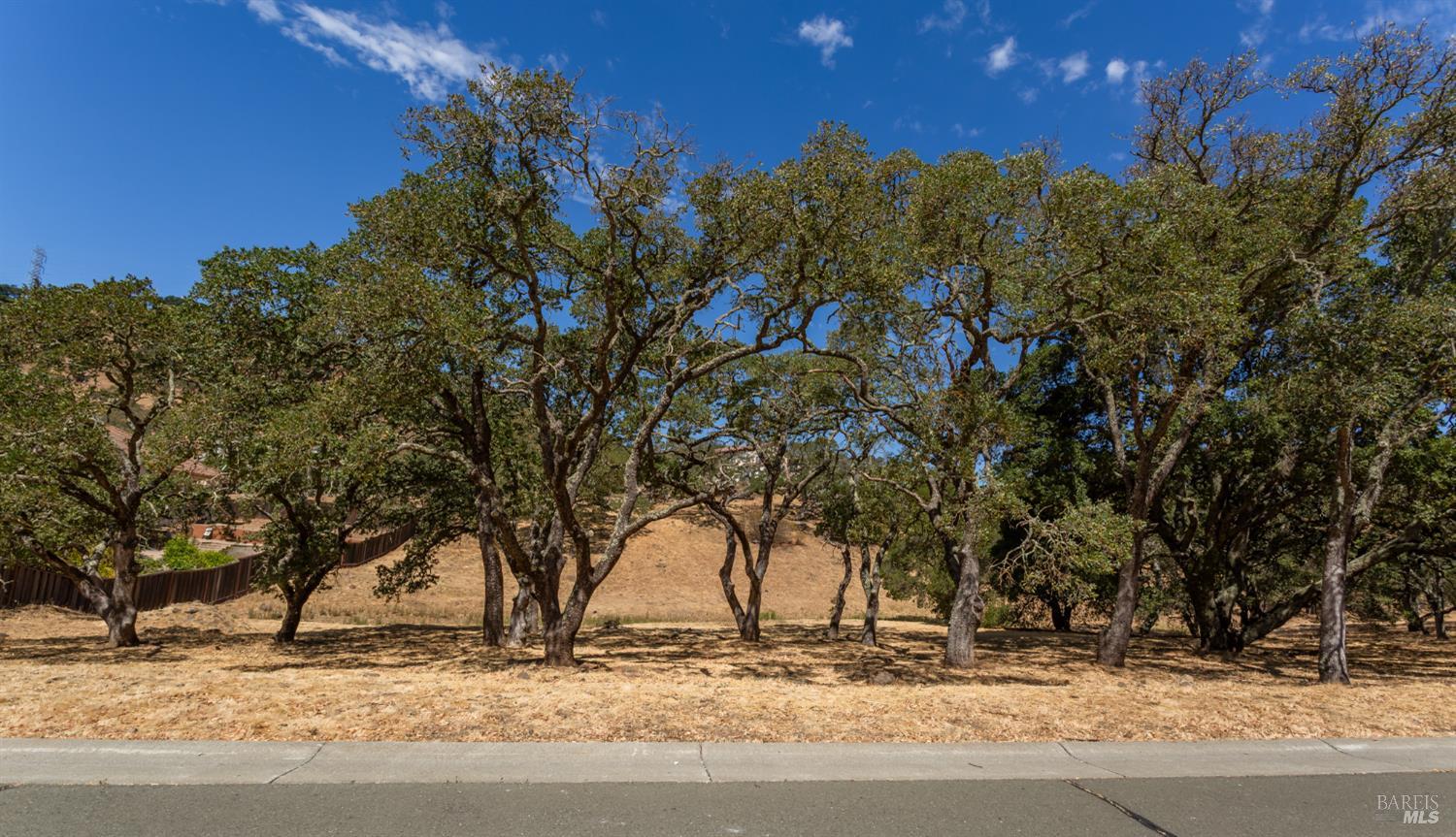 743 Bridle Ridge Court Fairfield, CA 94534 - Photo 2 of 82