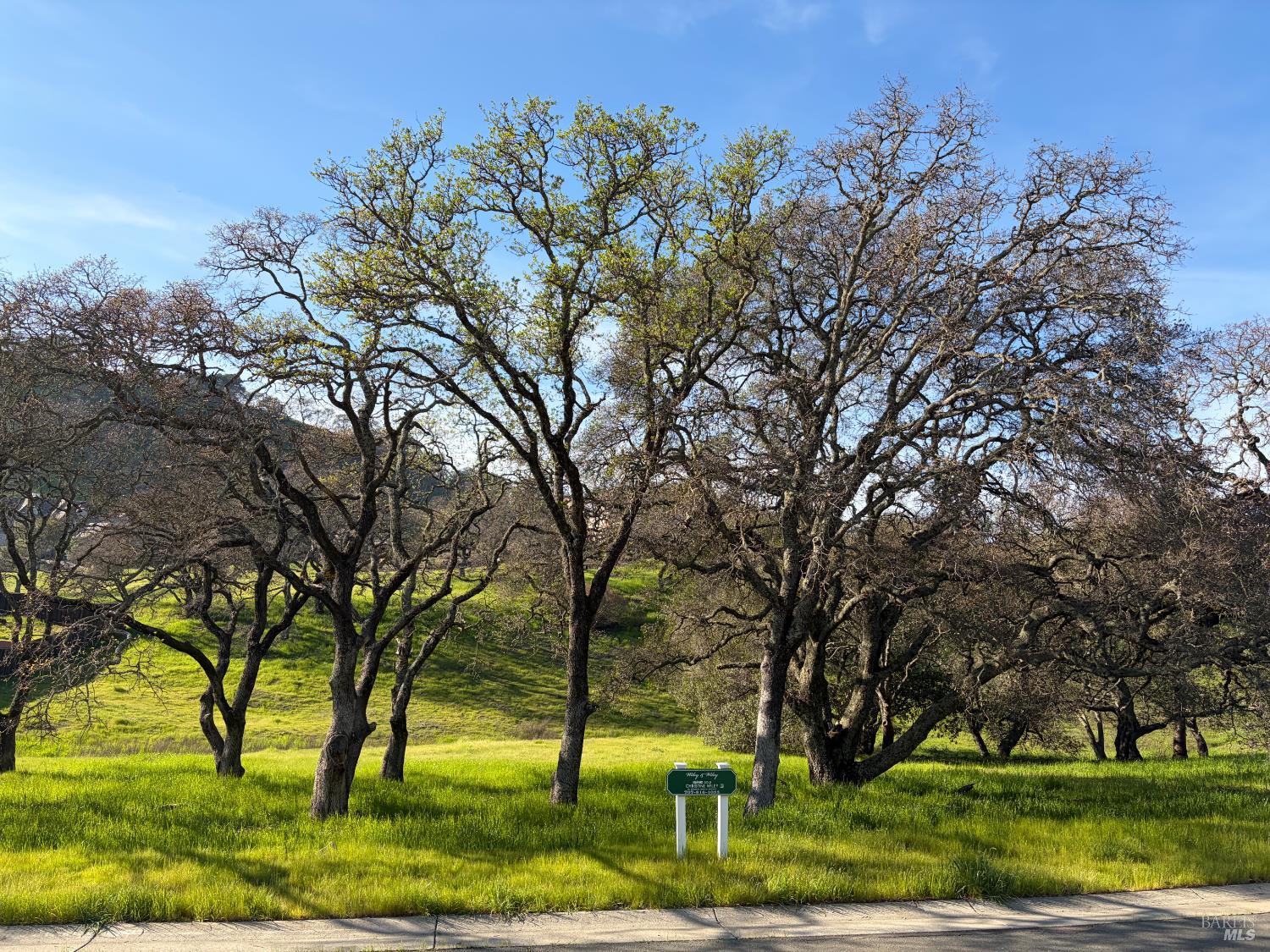 743 Bridle Ridge Court Fairfield, CA 94534 - Photo 2 of 84