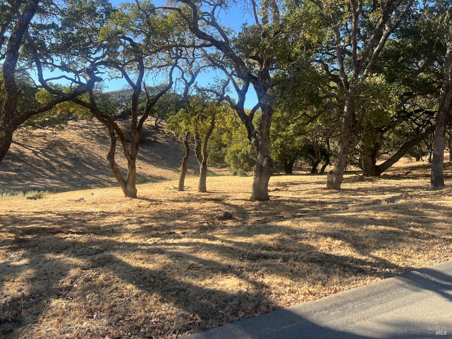 743 Bridle Ridge Court Fairfield, CA 94534 - Photo 41 of 82