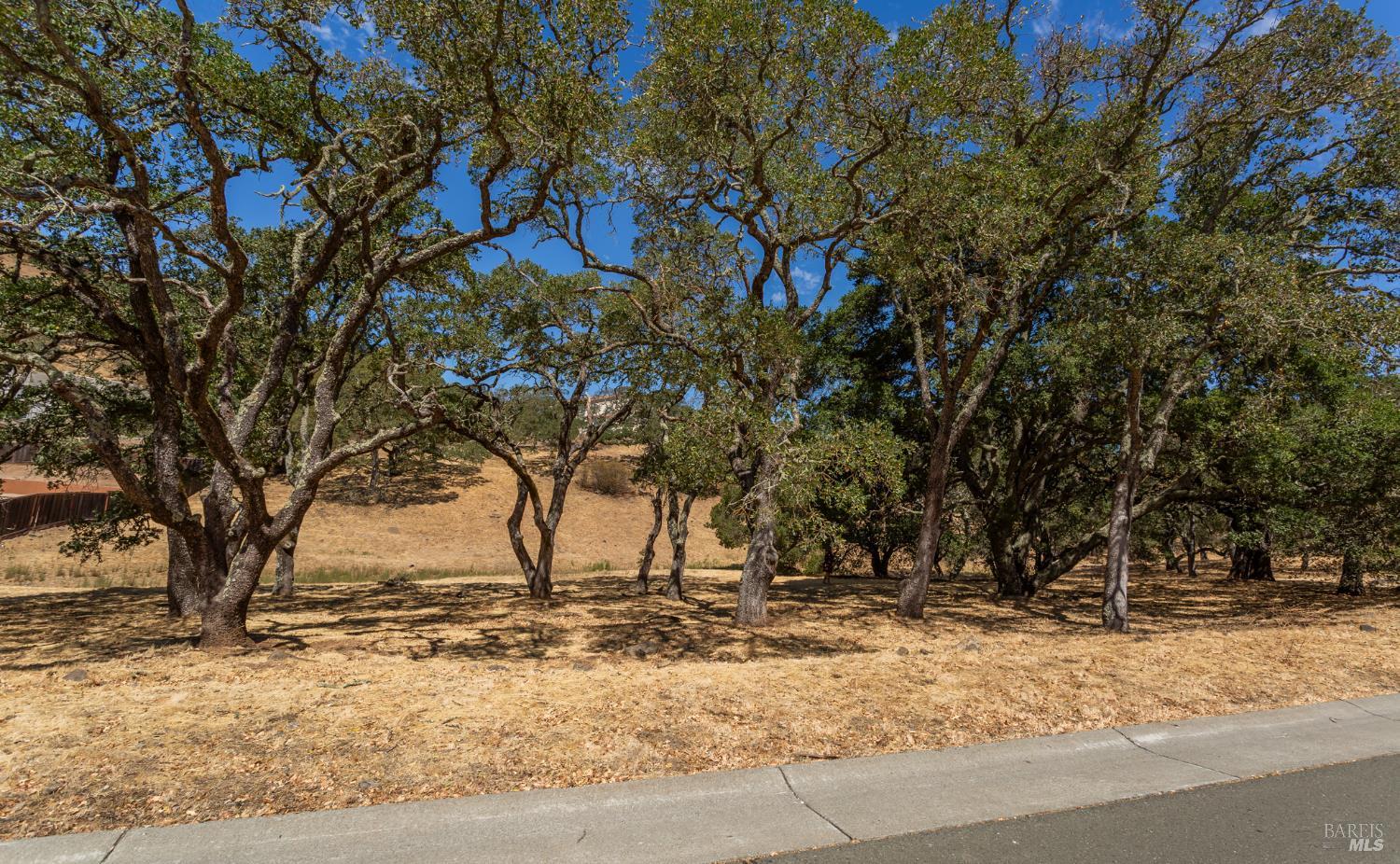 743 Bridle Ridge Court Fairfield, CA 94534 - Photo 45 of 82