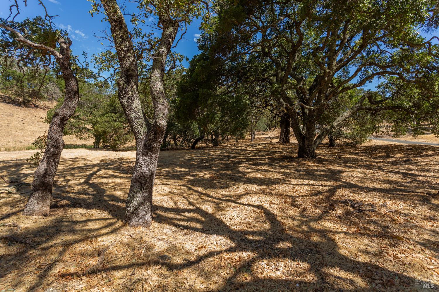 743 Bridle Ridge Court Fairfield, CA 94534 - Photo 46 of 82