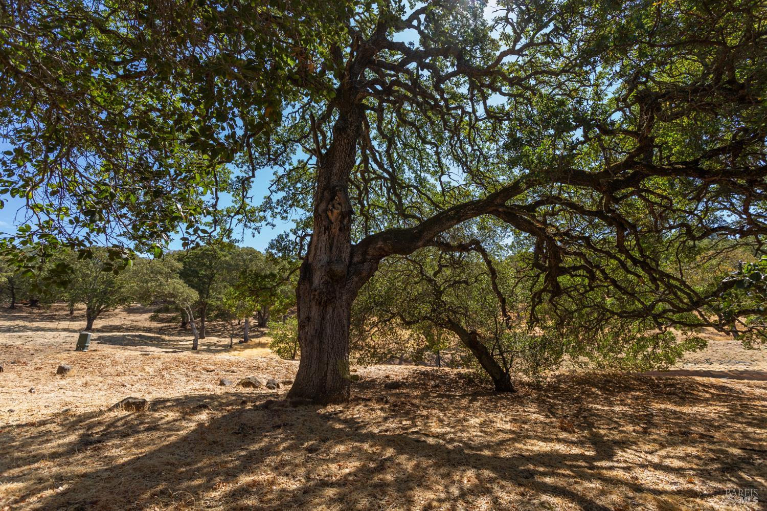 743 Bridle Ridge Court Fairfield, CA 94534 - Photo 52 of 84