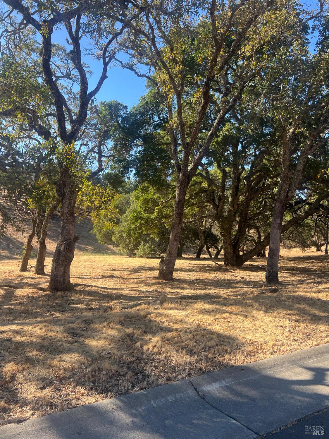 743 Bridle Ridge Court Fairfield, CA 94534 - Photo 65 of 82