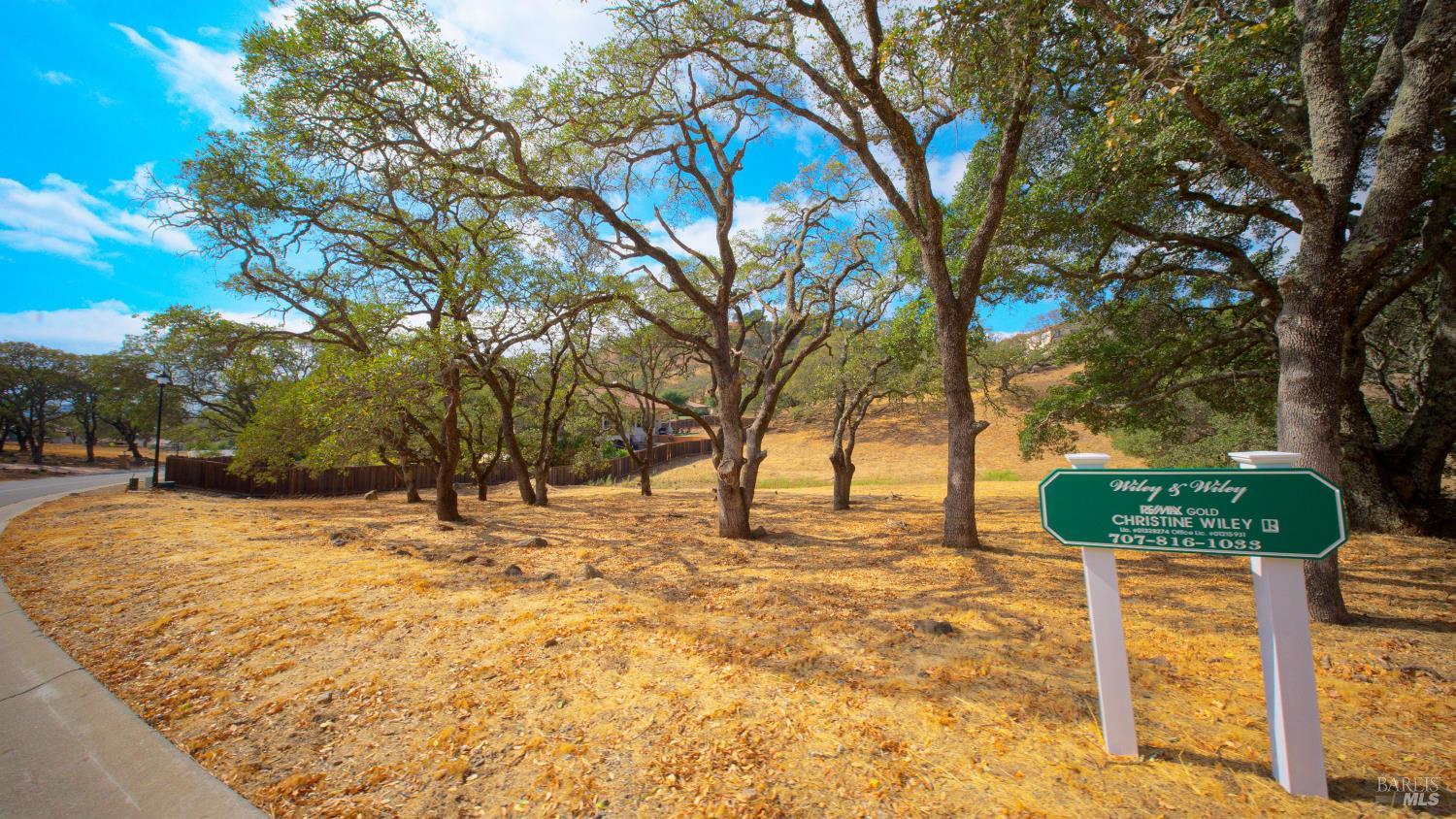 743 Bridle Ridge Court Fairfield, CA 94534 - Photo 65 of 84